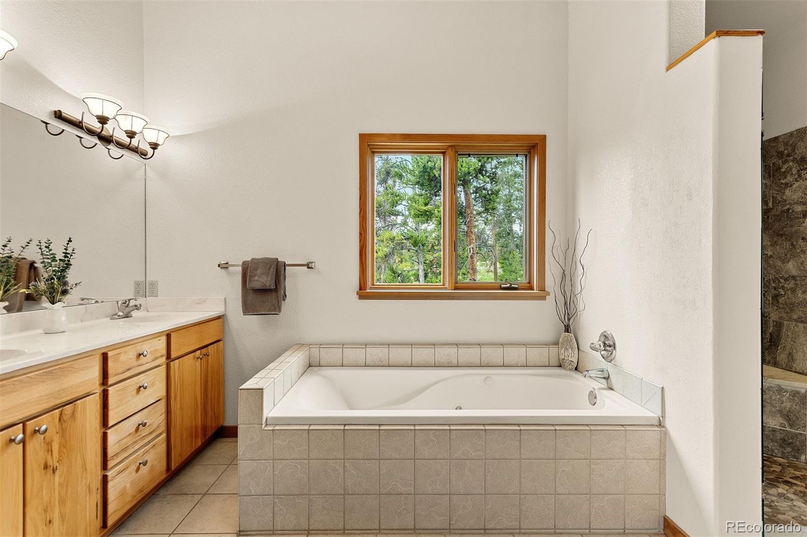 MLS Image #21 for 603  aster drive,tabernash, Colorado