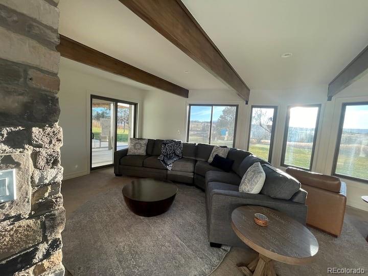 MLS Image #19 for 3980  walker ridge view,colorado springs, Colorado