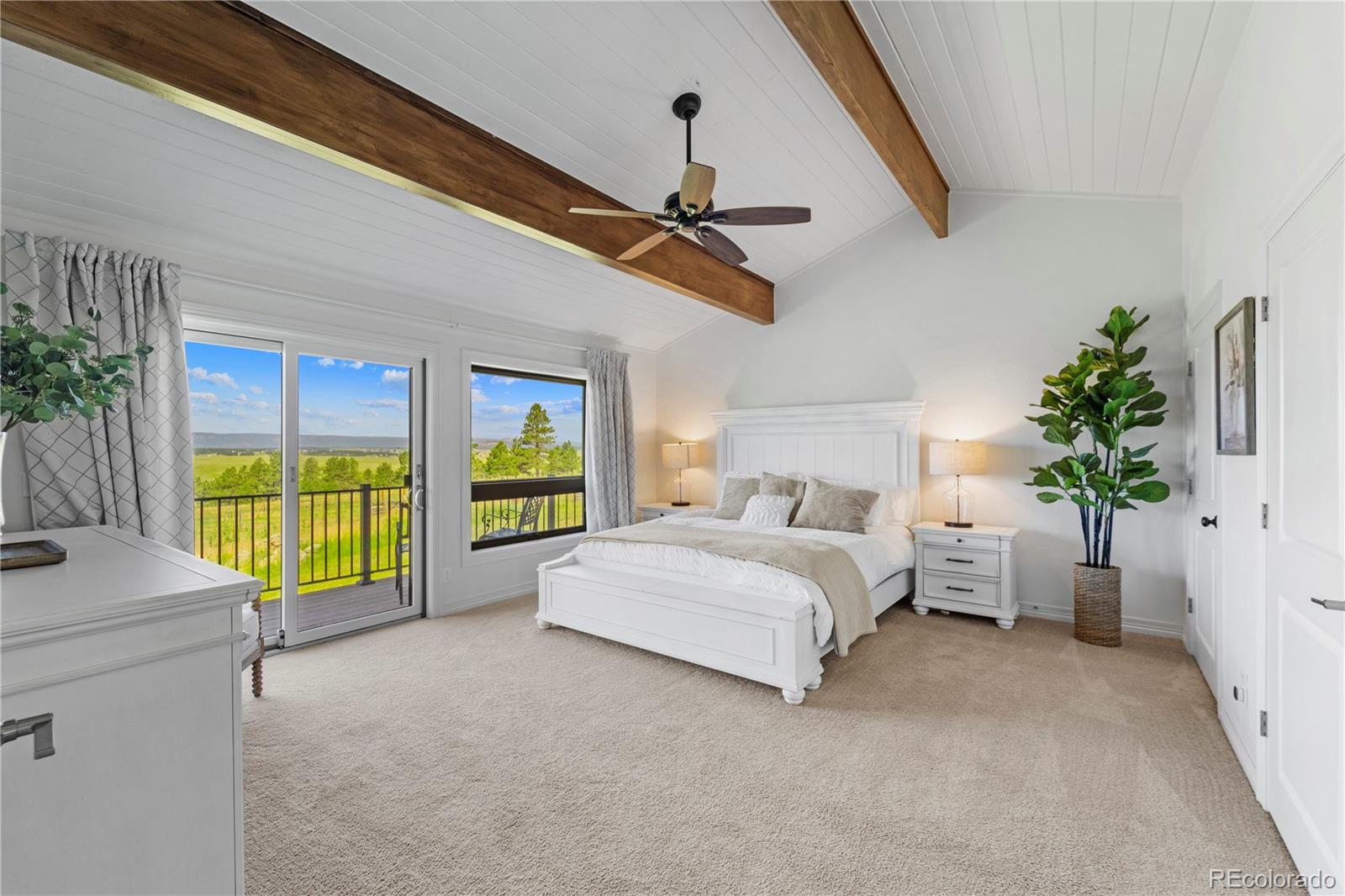 MLS Image #9 for 3980  walker ridge view,colorado springs, Colorado