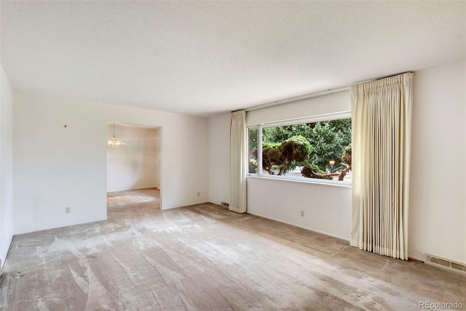 MLS Image #6 for 1900  brookwood drive,colorado springs, Colorado