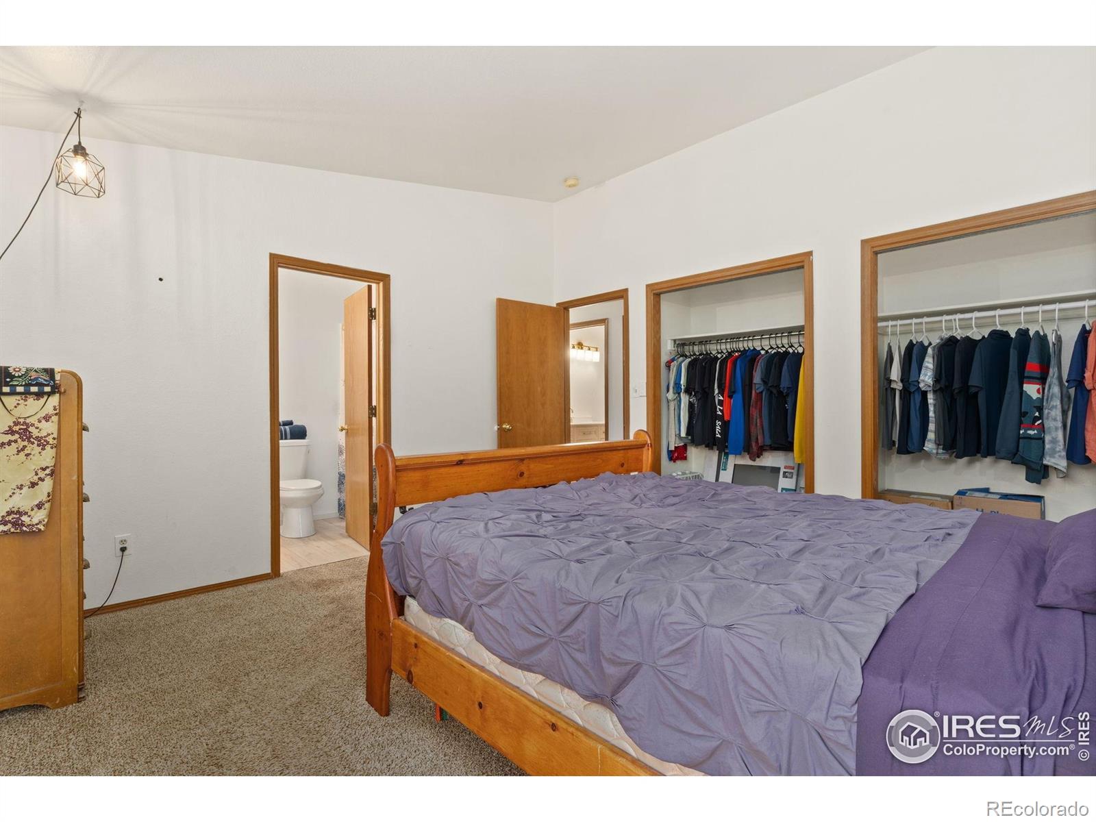 MLS Image #10 for 1255  alameda street,fort collins, Colorado