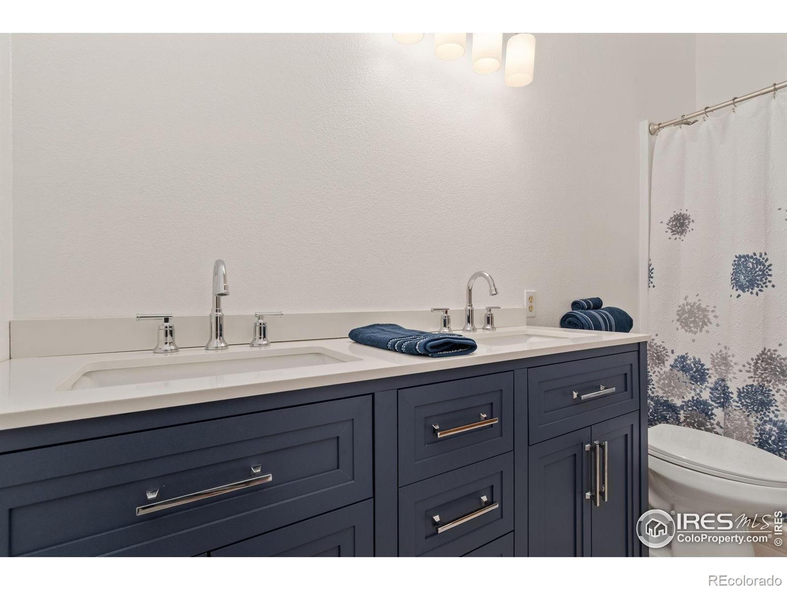 MLS Image #11 for 1255  alameda street,fort collins, Colorado