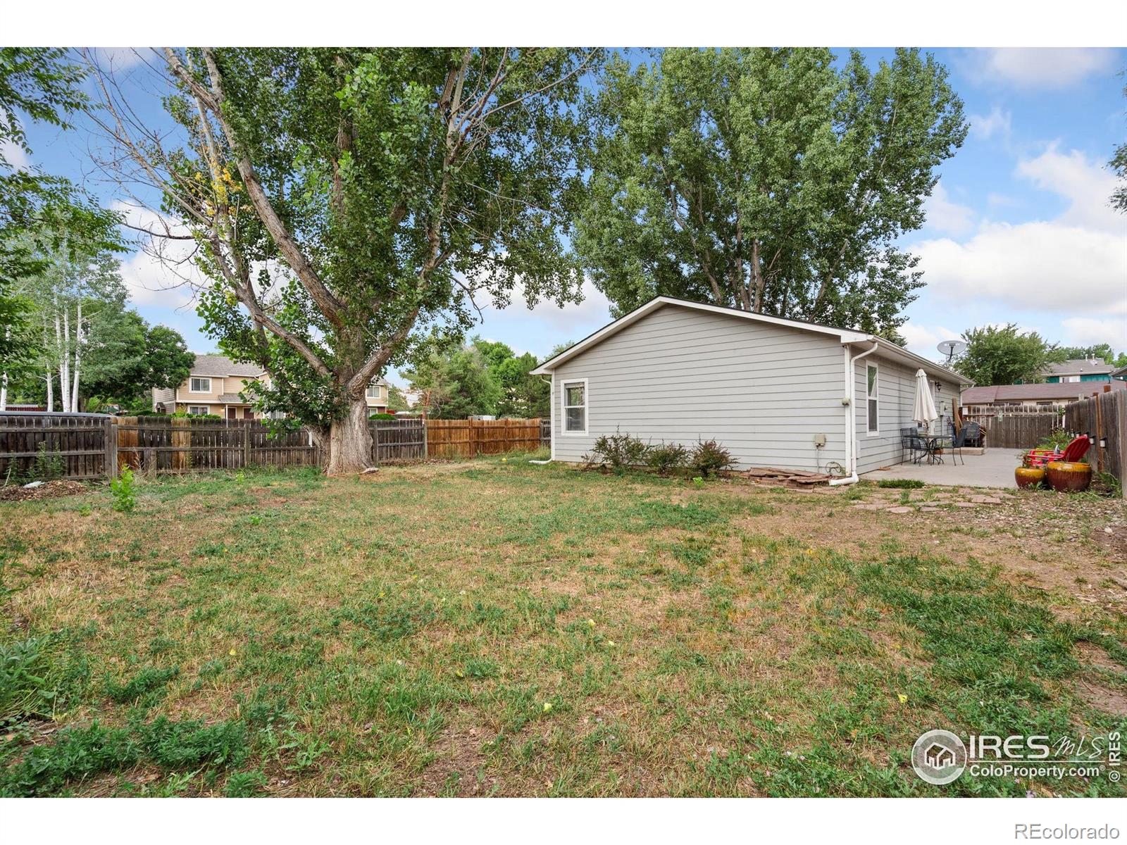 MLS Image #18 for 1255  alameda street,fort collins, Colorado