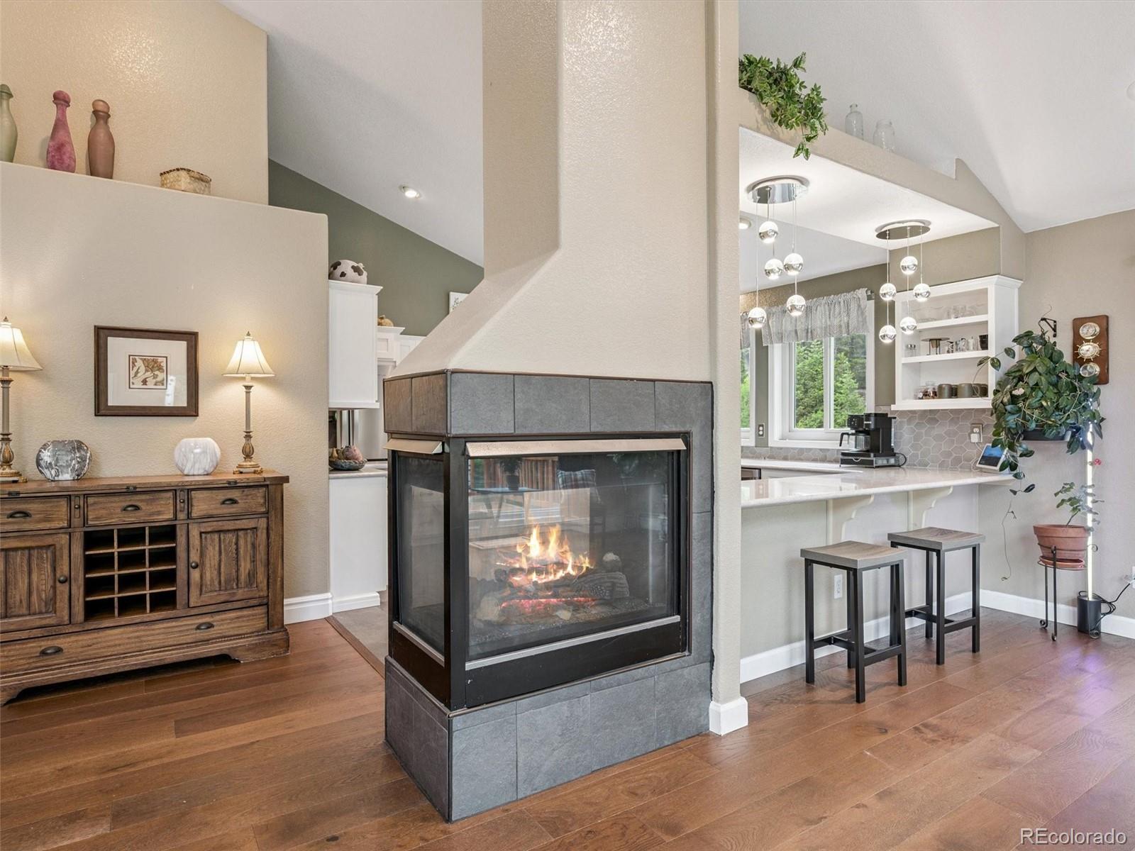 MLS Image #19 for 31361  shadow mountain drive,conifer, Colorado