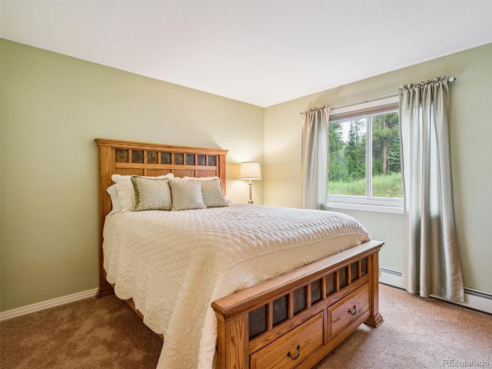 MLS Image #26 for 31361  shadow mountain drive,conifer, Colorado