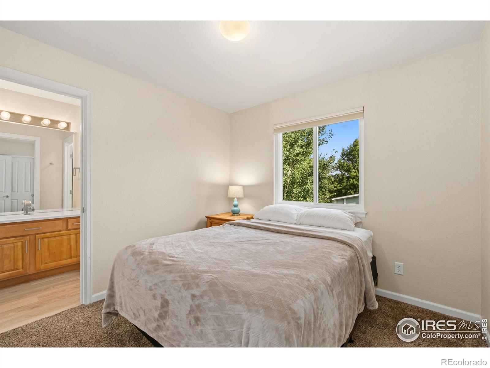 MLS Image #17 for 6580  clearwater drive,loveland, Colorado