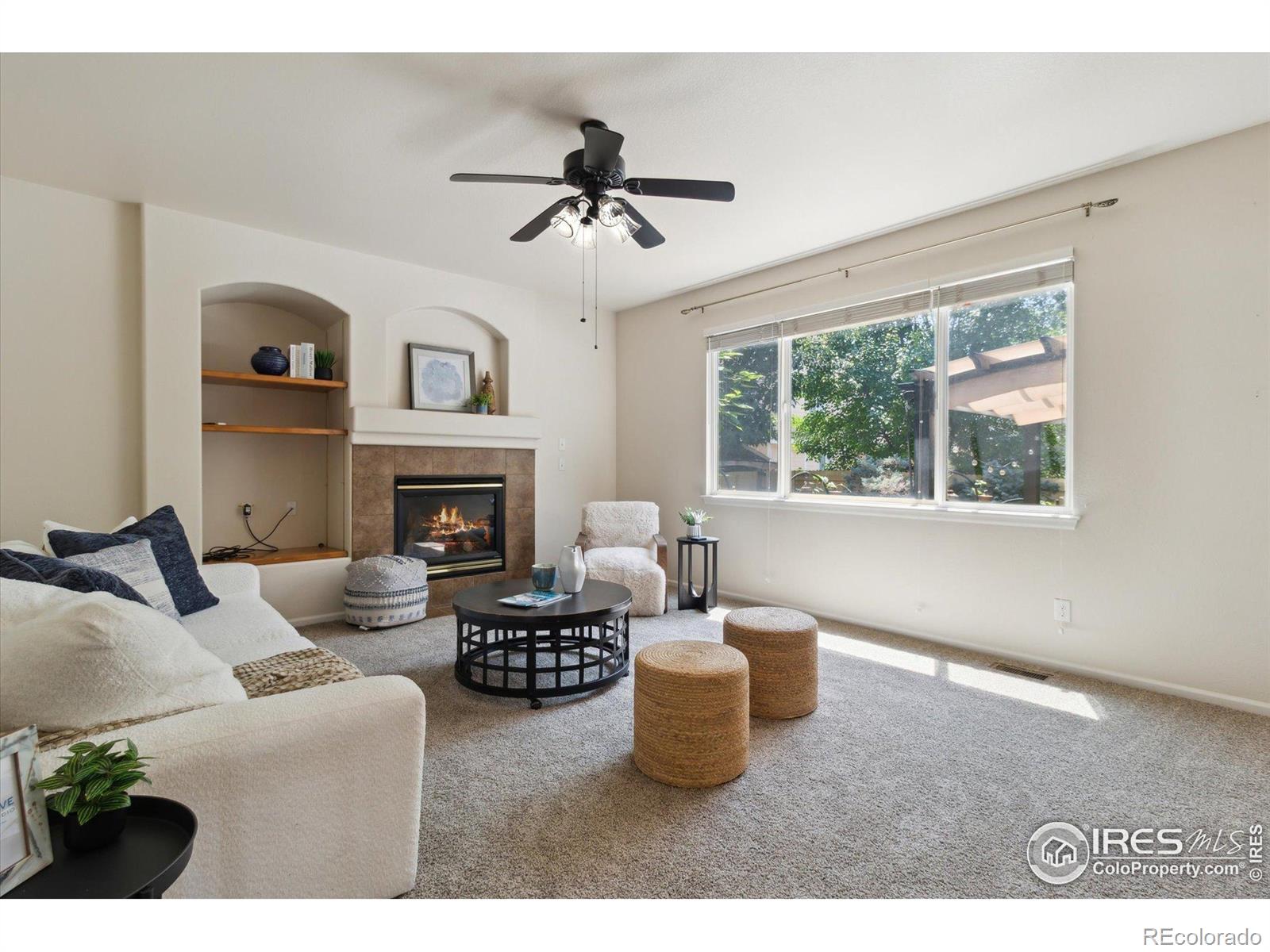 MLS Image #8 for 4314  mt oxford street,brighton, Colorado