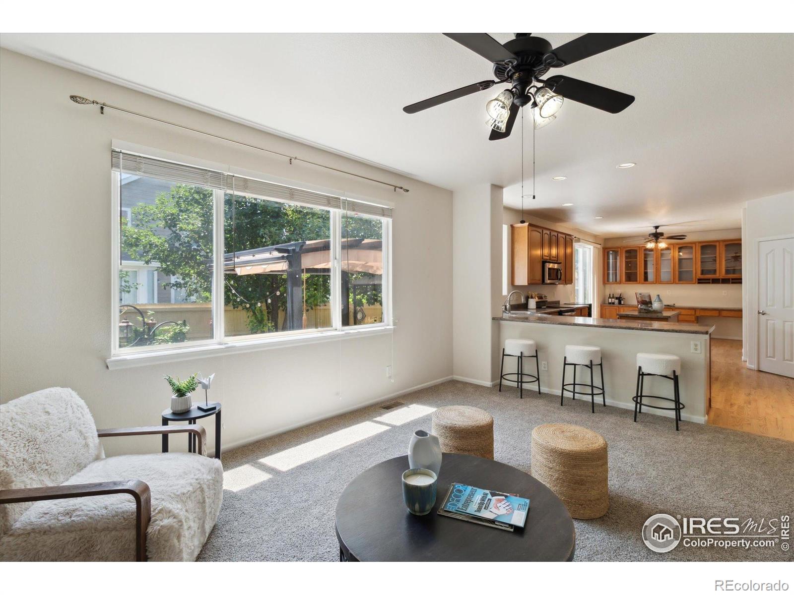 MLS Image #9 for 4314  mt oxford street,brighton, Colorado