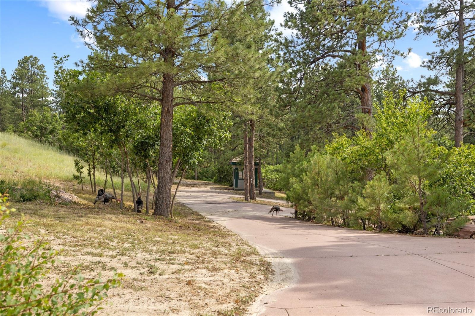 MLS Image #25 for 450 e happy canyon road,castle rock, Colorado