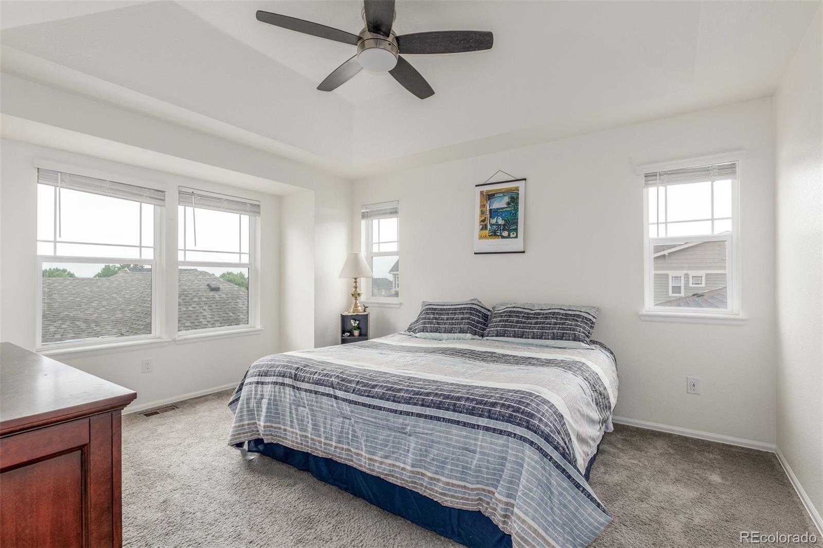 MLS Image #18 for 14008  jackson street,thornton, Colorado