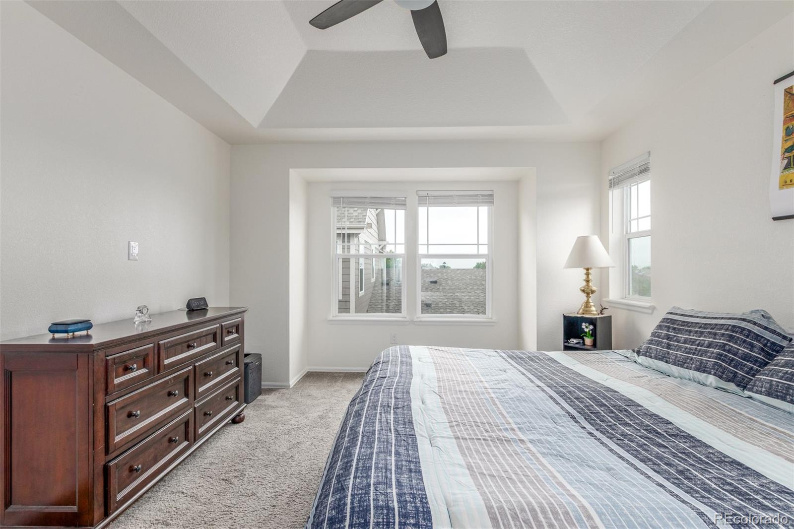 MLS Image #19 for 14008  jackson street,thornton, Colorado