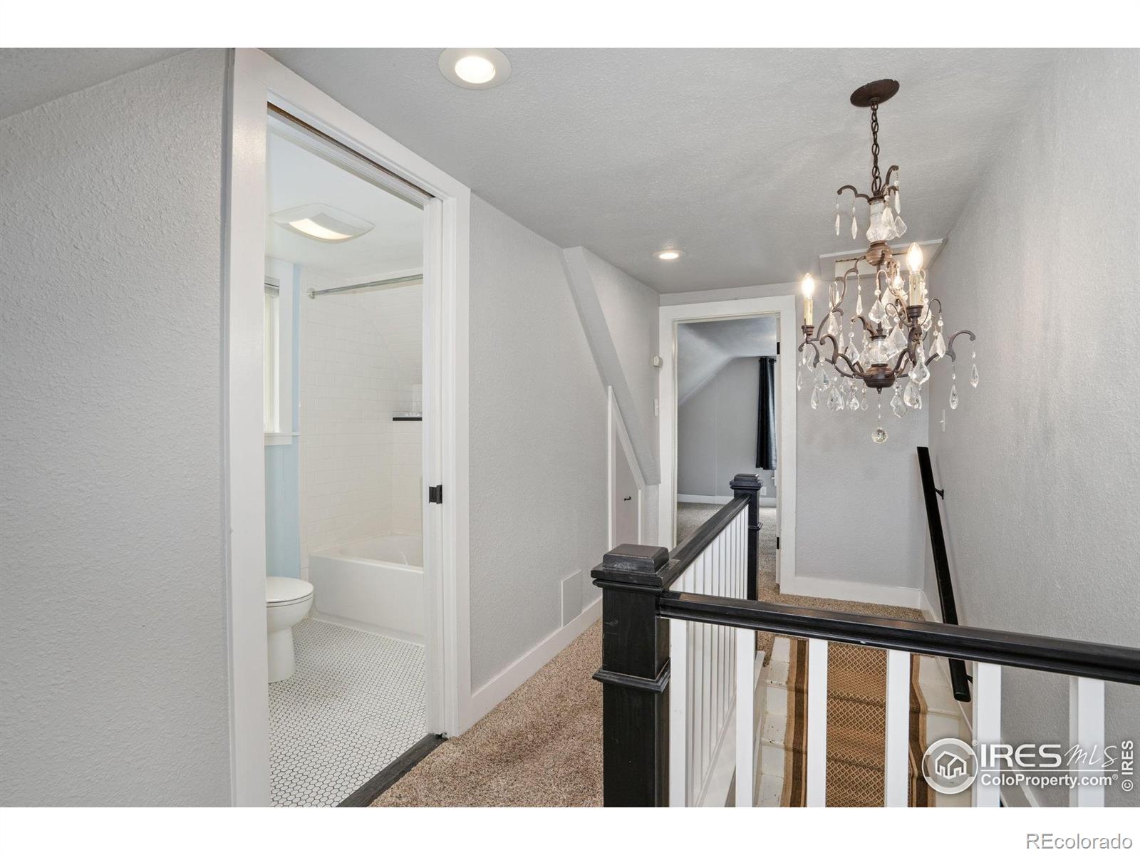 MLS Image #12 for 410 e oak street,fort collins, Colorado