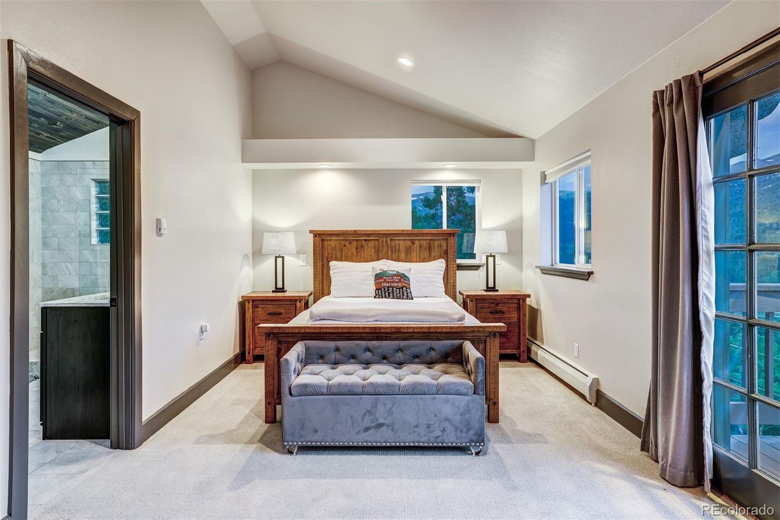 MLS Image #13 for 1095  quartzville ,alma, Colorado