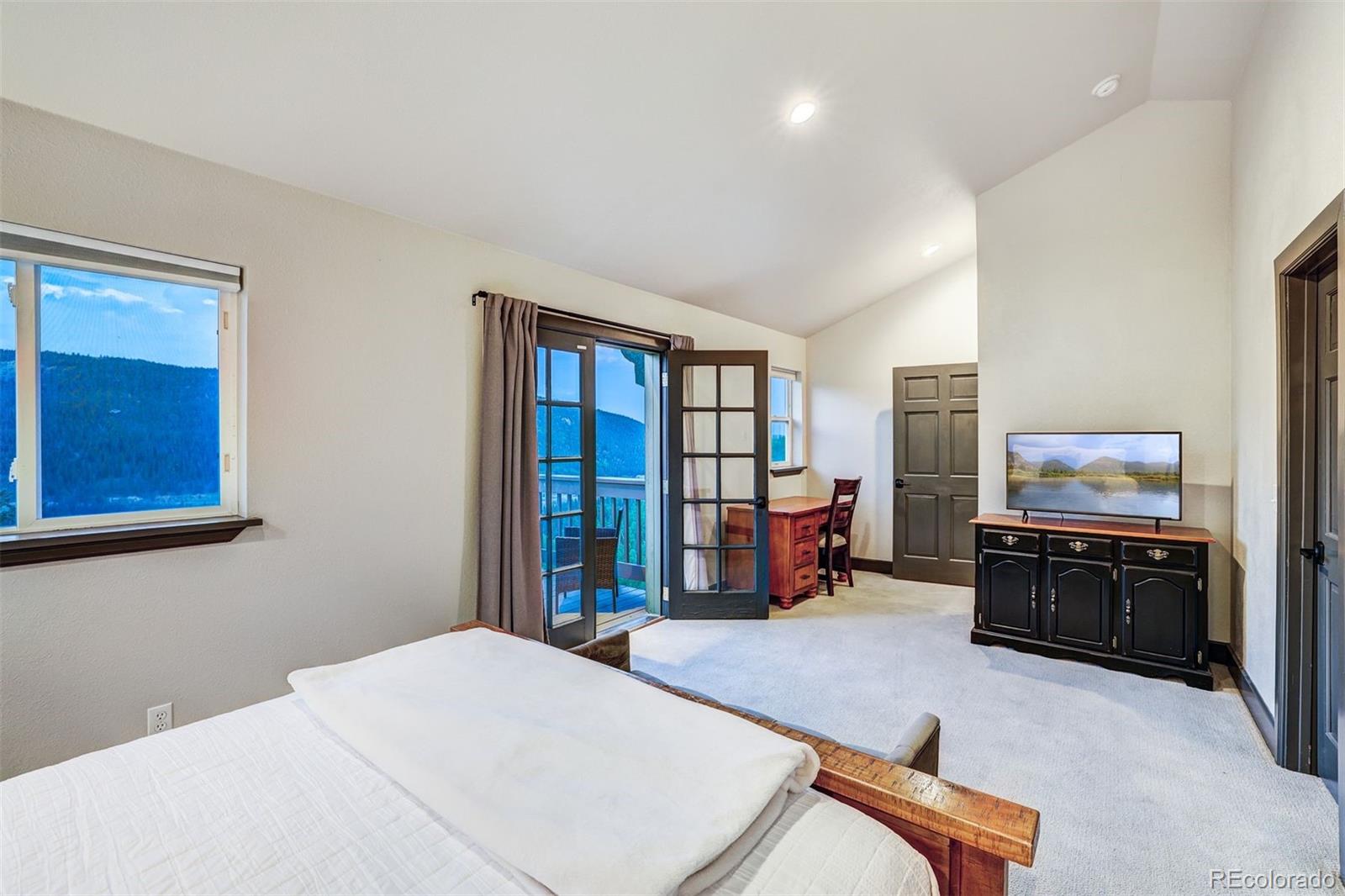 MLS Image #14 for 1095  quartzville ,alma, Colorado