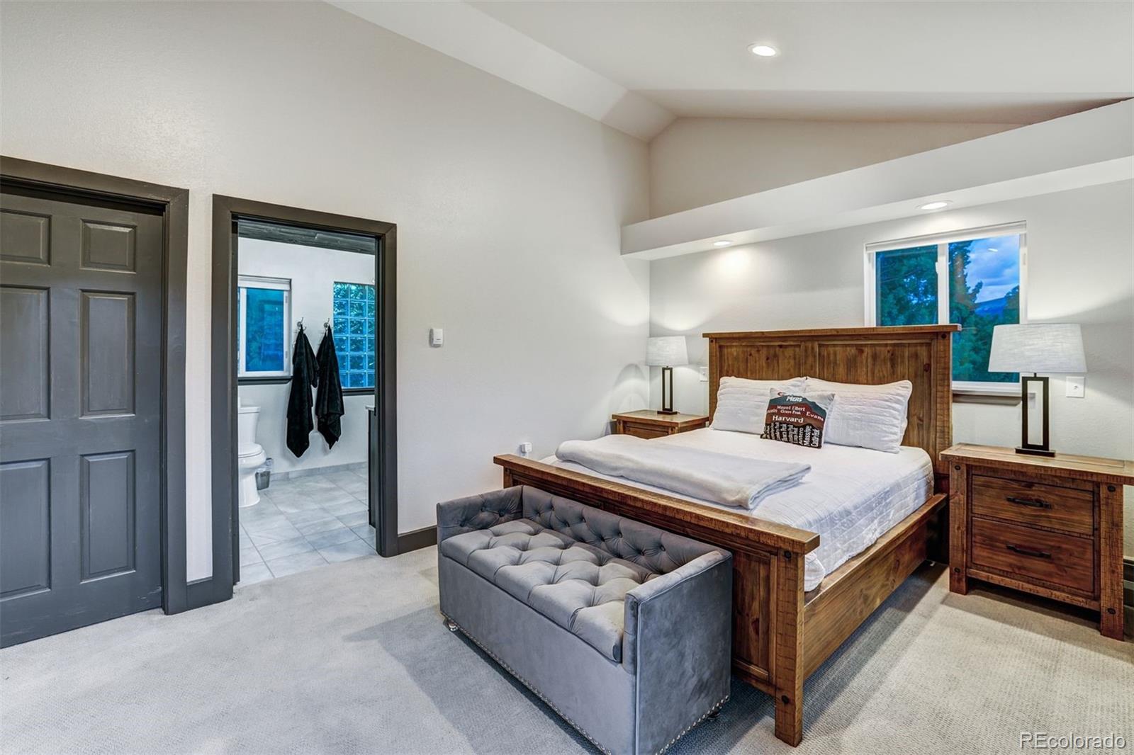 MLS Image #17 for 1095  quartzville ,alma, Colorado