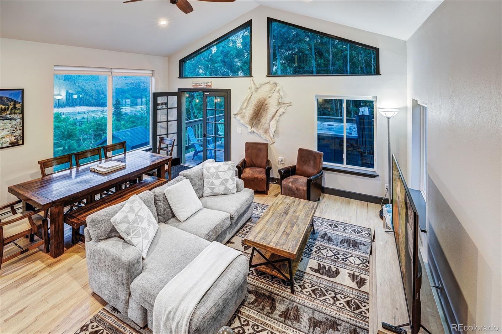 MLS Image #19 for 1095  quartzville ,alma, Colorado