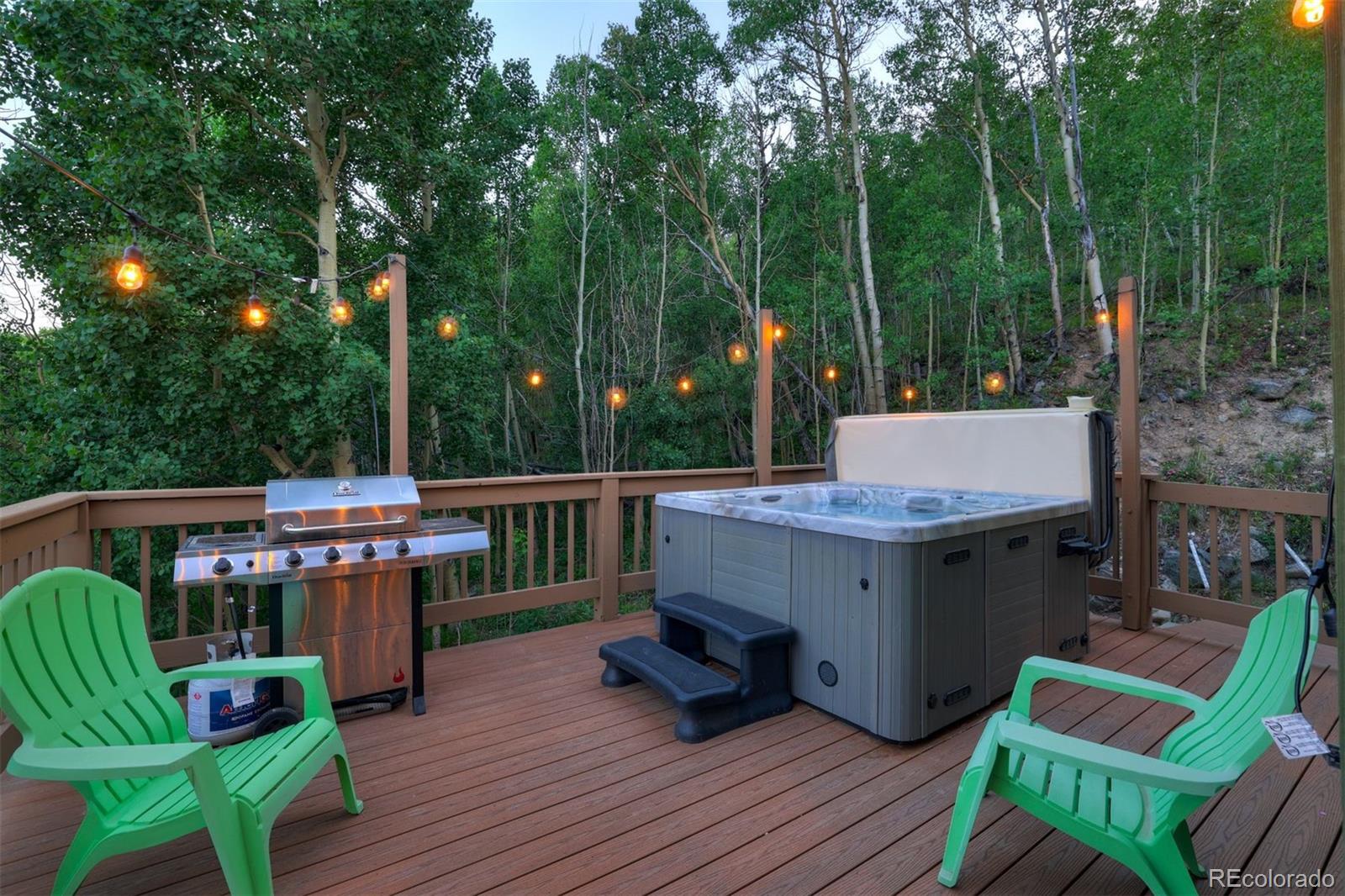 MLS Image #21 for 1095  quartzville ,alma, Colorado