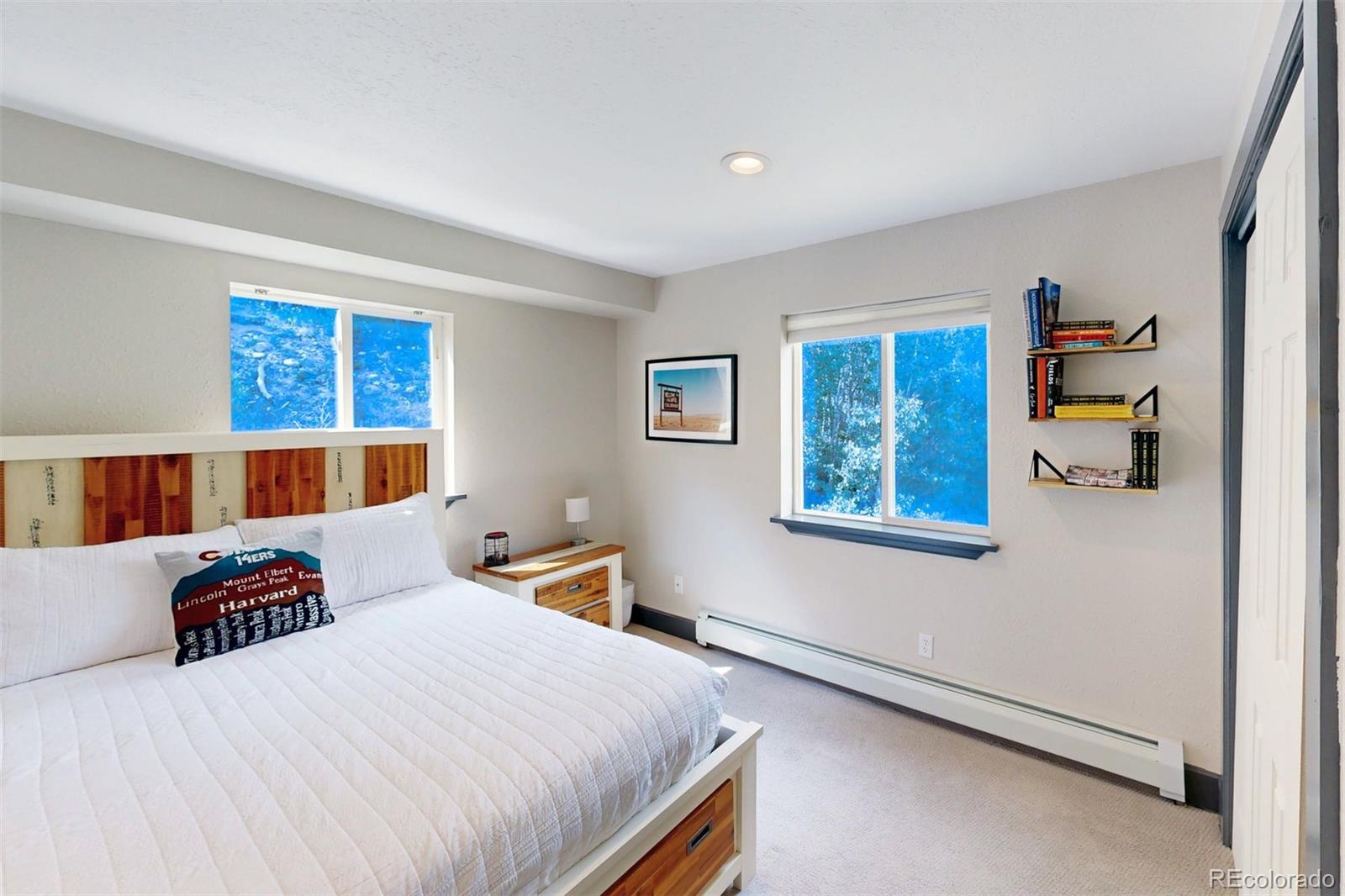 MLS Image #26 for 1095  quartzville ,alma, Colorado