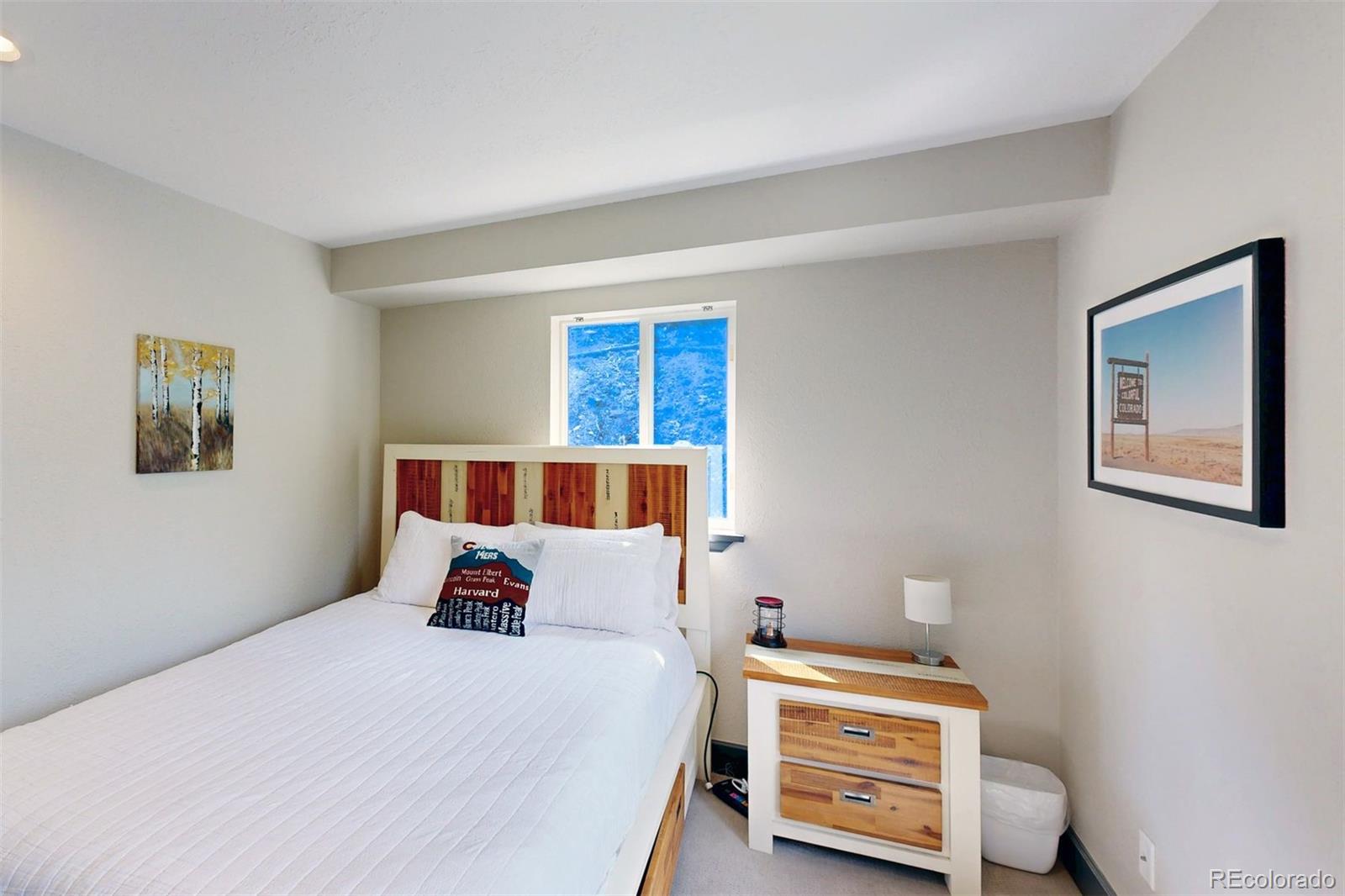 MLS Image #27 for 1095  quartzville ,alma, Colorado