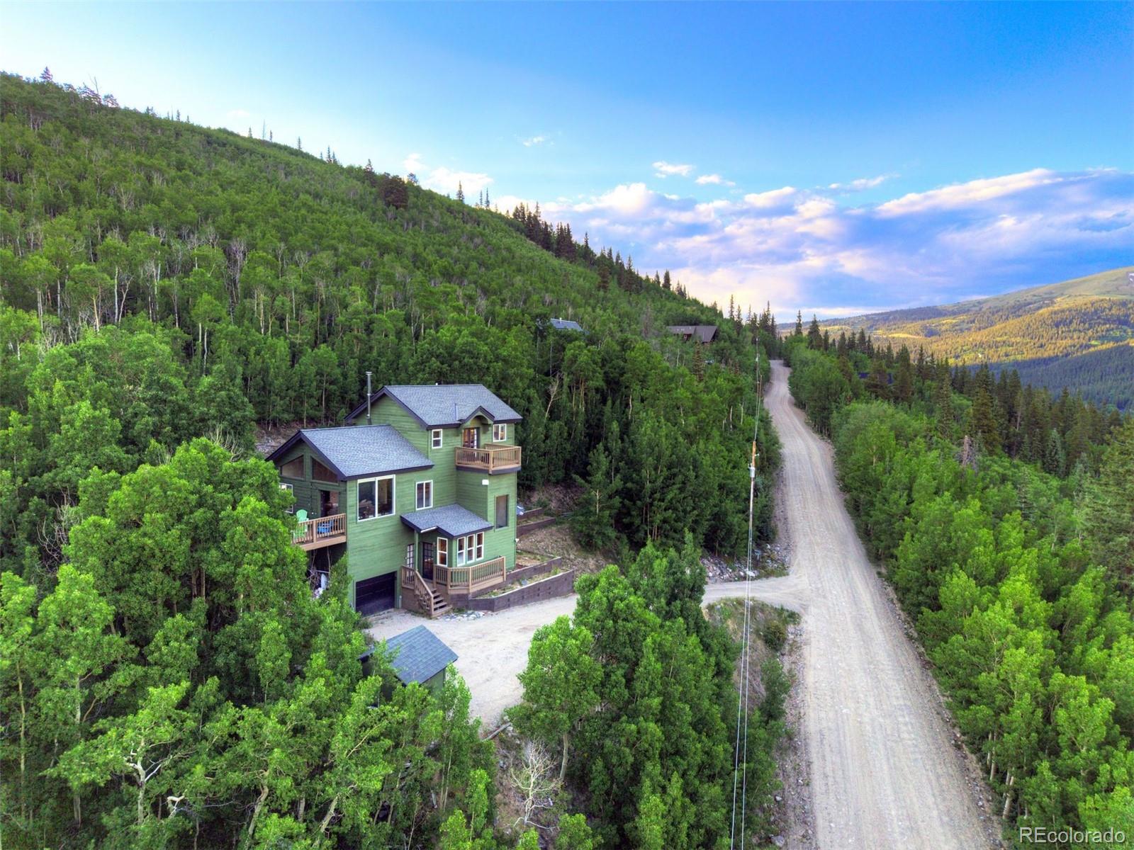 MLS Image #42 for 1095  quartzville ,alma, Colorado