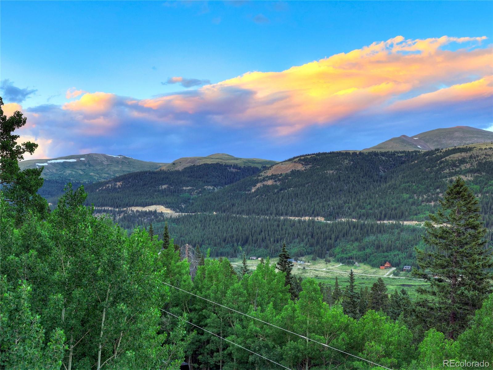 MLS Image #46 for 1095  quartzville ,alma, Colorado