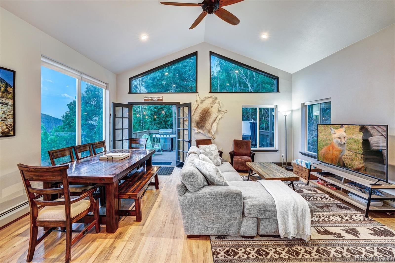 MLS Image #6 for 1095  quartzville ,alma, Colorado