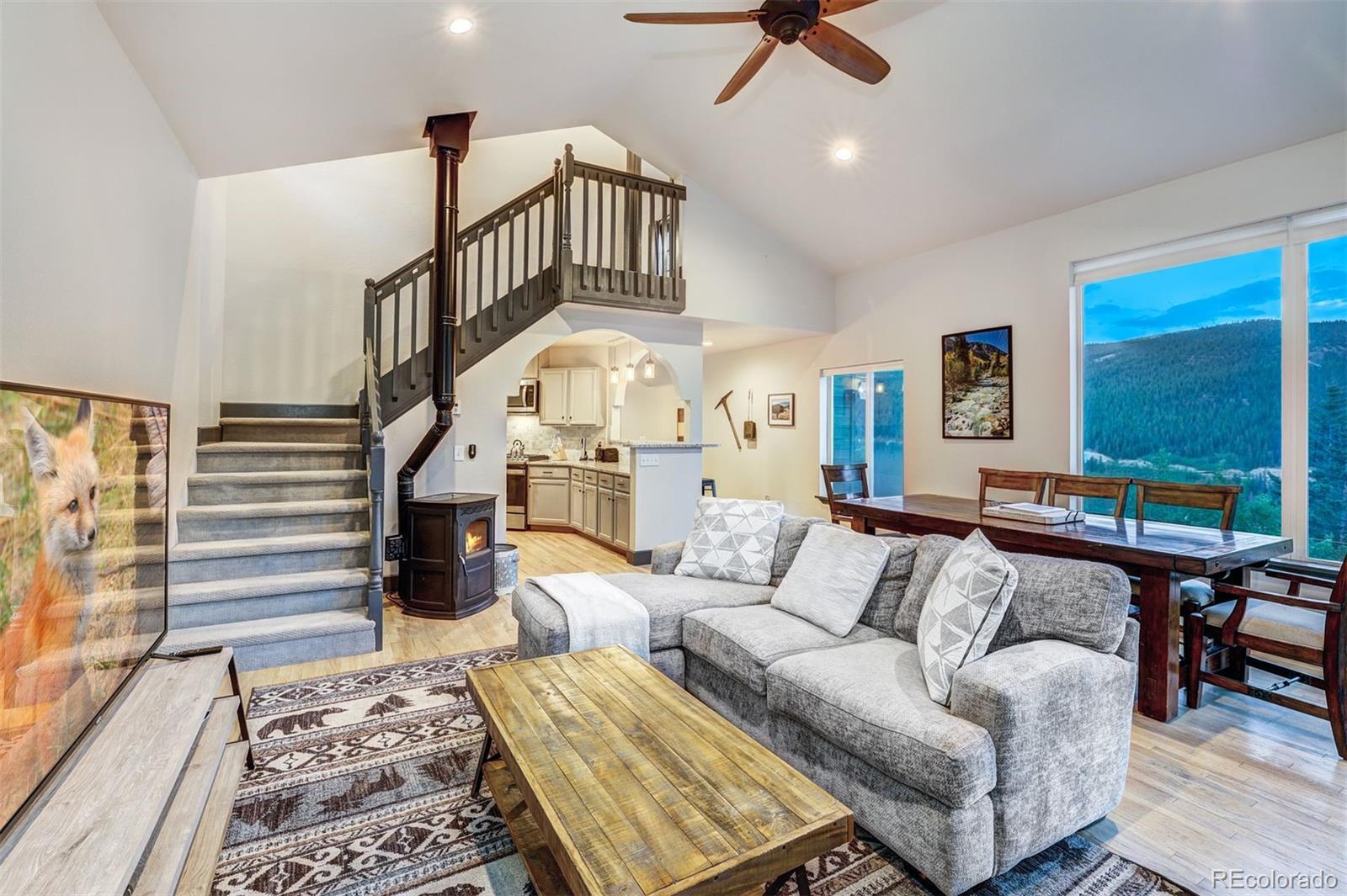 MLS Image #8 for 1095  quartzville ,alma, Colorado