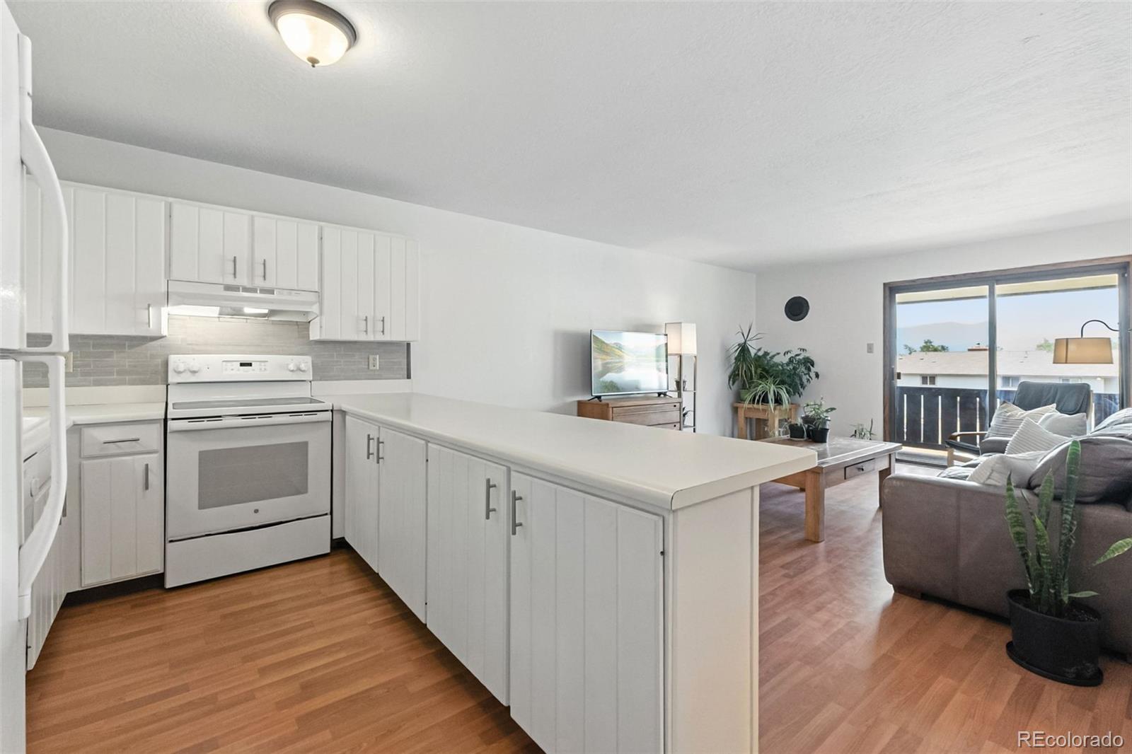 MLS Image #3 for 763  straight creek drive,dillon, Colorado