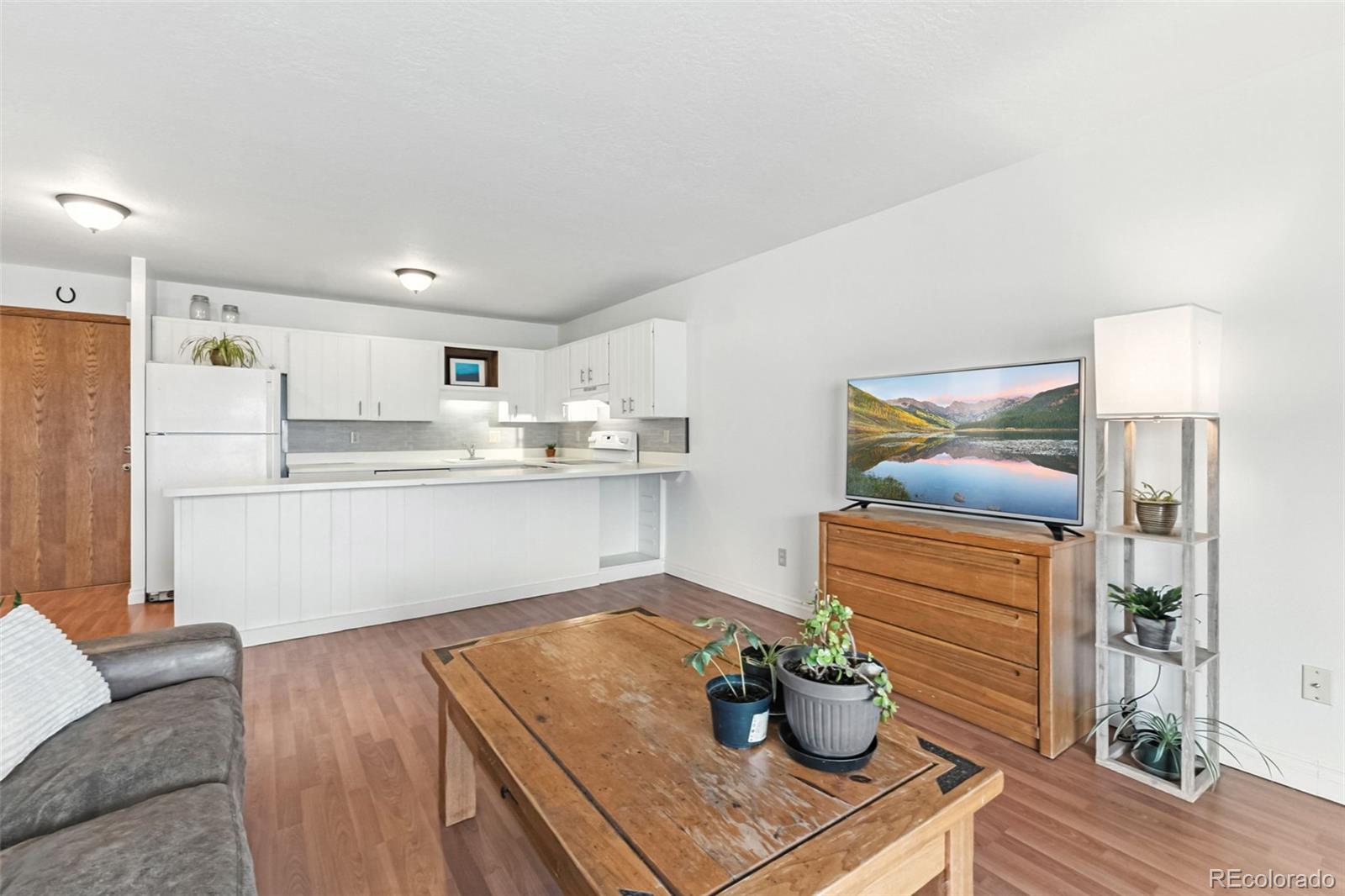 MLS Image #6 for 763  straight creek drive,dillon, Colorado