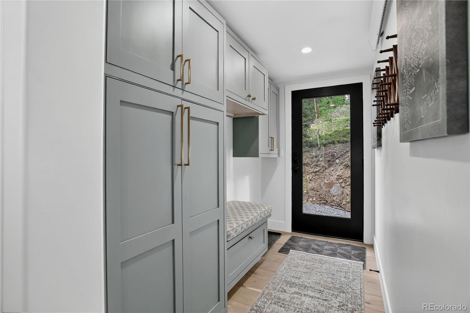 MLS Image #1 for 36  coot place,alma, Colorado