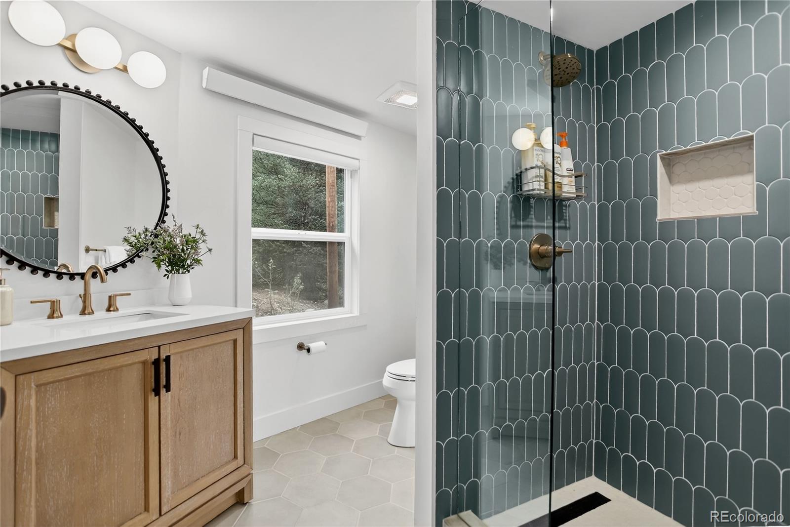 MLS Image #18 for 36  coot place,alma, Colorado