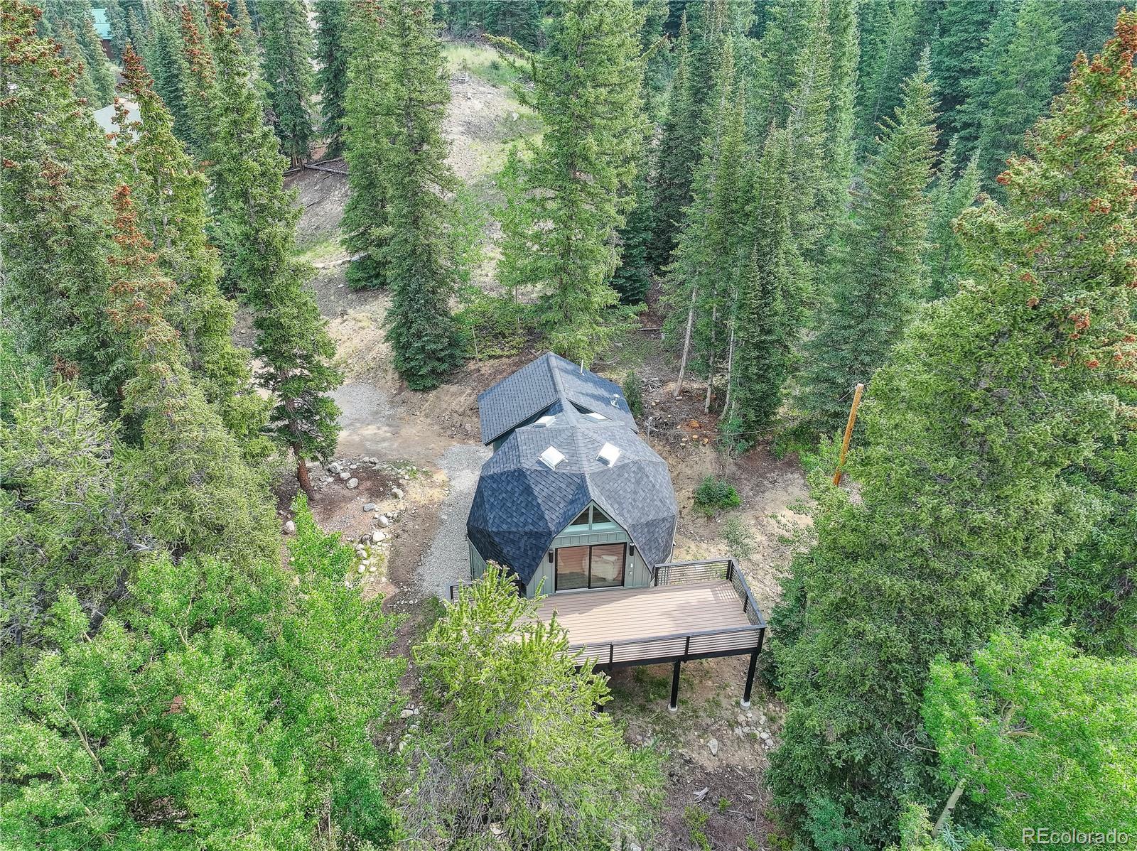MLS Image #21 for 36  coot place,alma, Colorado