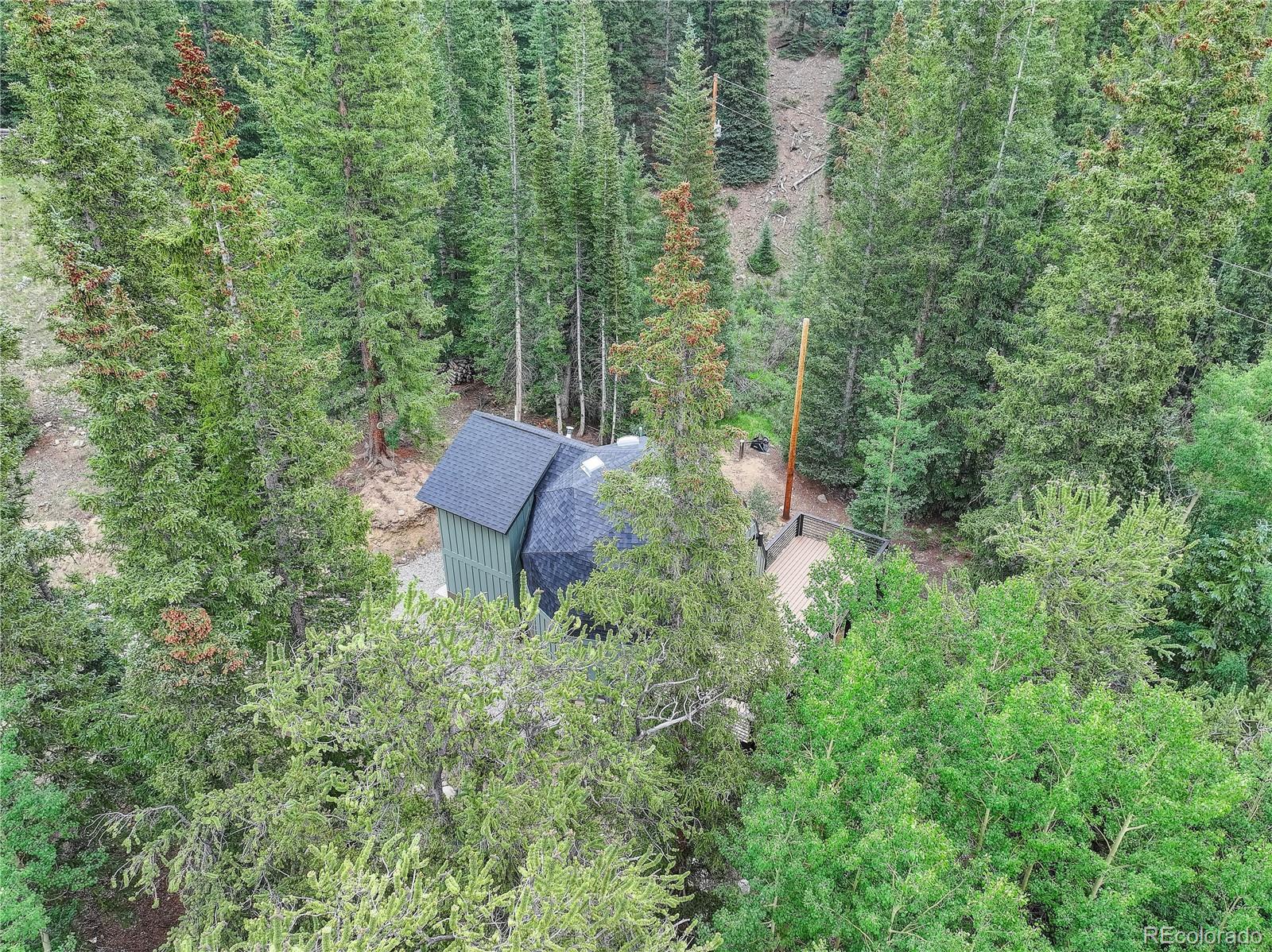 MLS Image #22 for 36  coot place,alma, Colorado