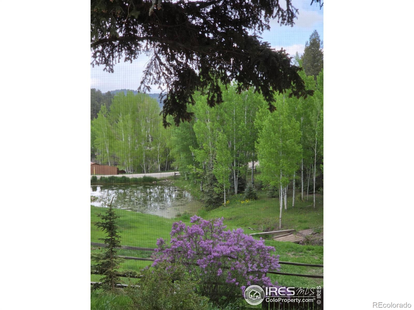 MLS Image #0 for 90  chickadee drive,bailey, Colorado