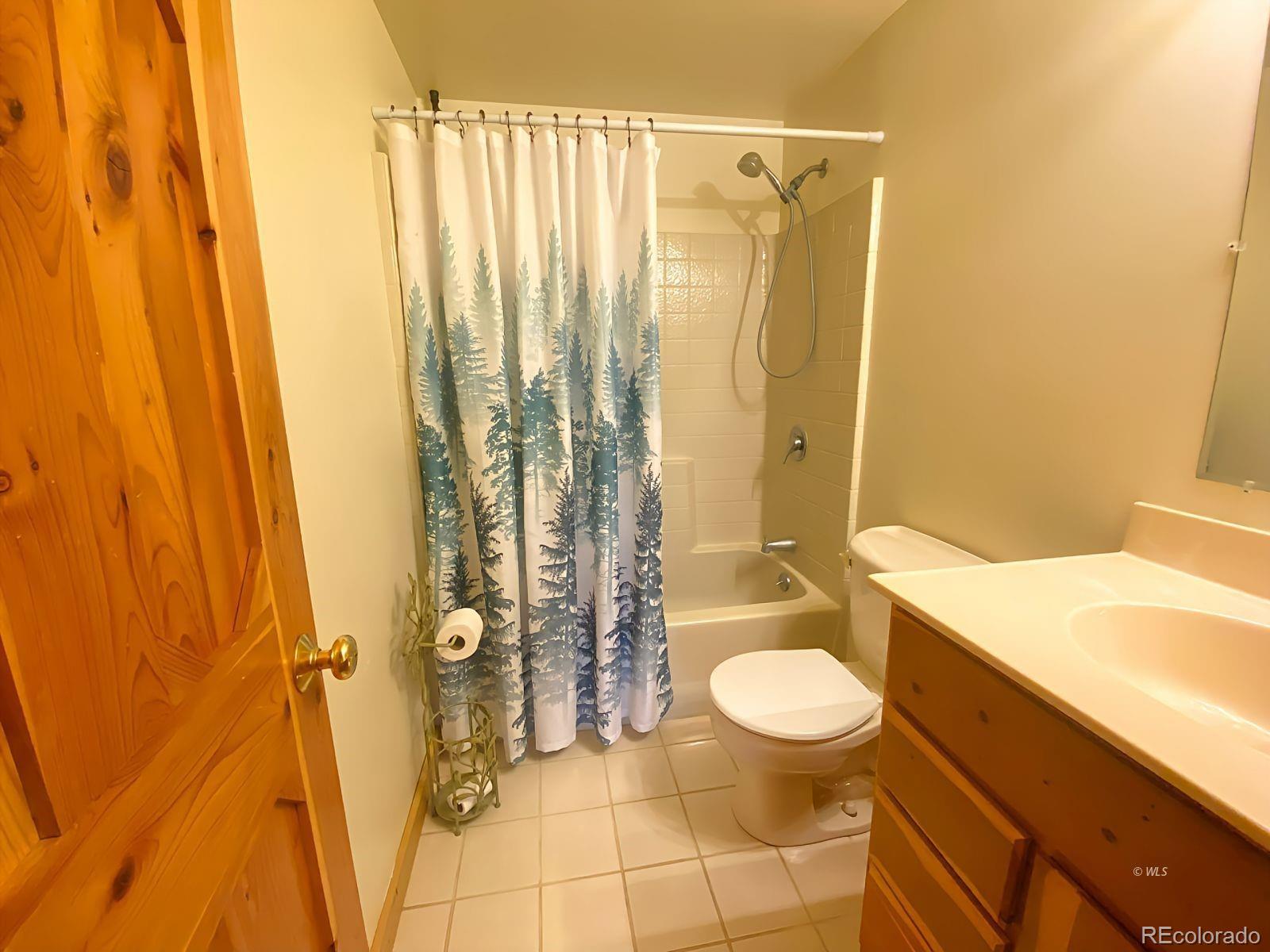 MLS Image #21 for 595  dead mule lane,westcliffe, Colorado