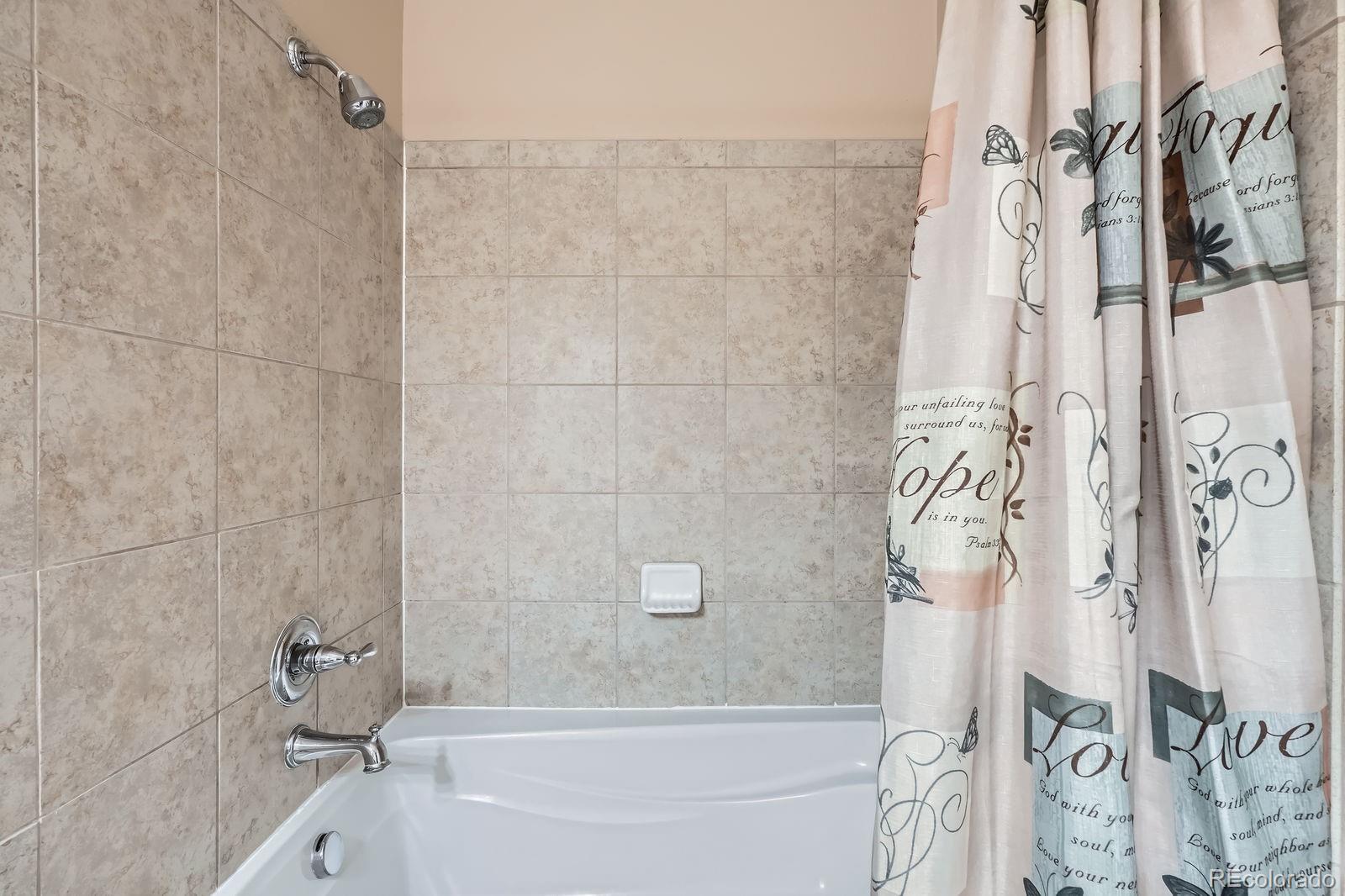 MLS Image #16 for 17525  wilde avenue,parker, Colorado