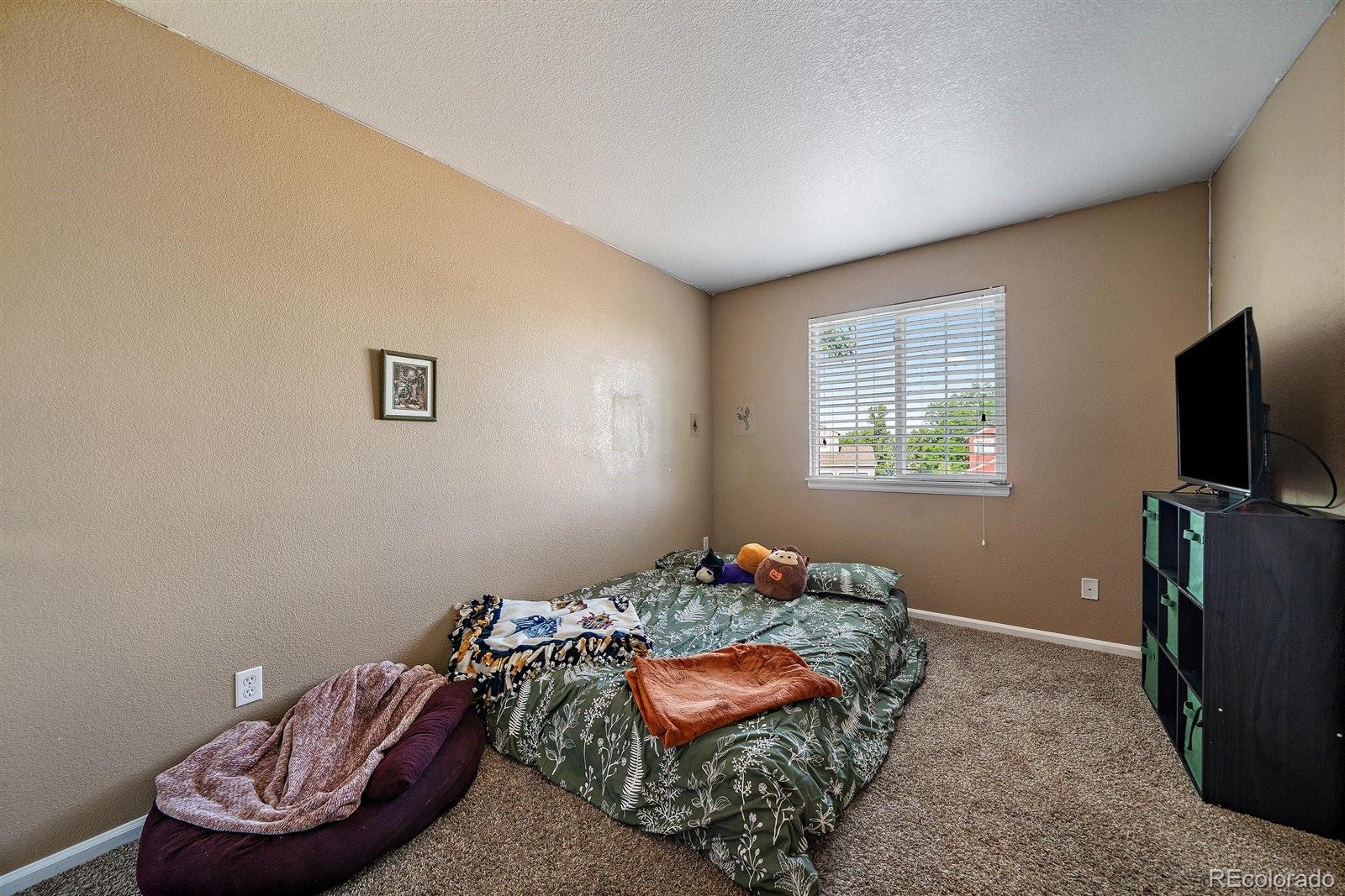 MLS Image #20 for 717  mcclure court,erie, Colorado