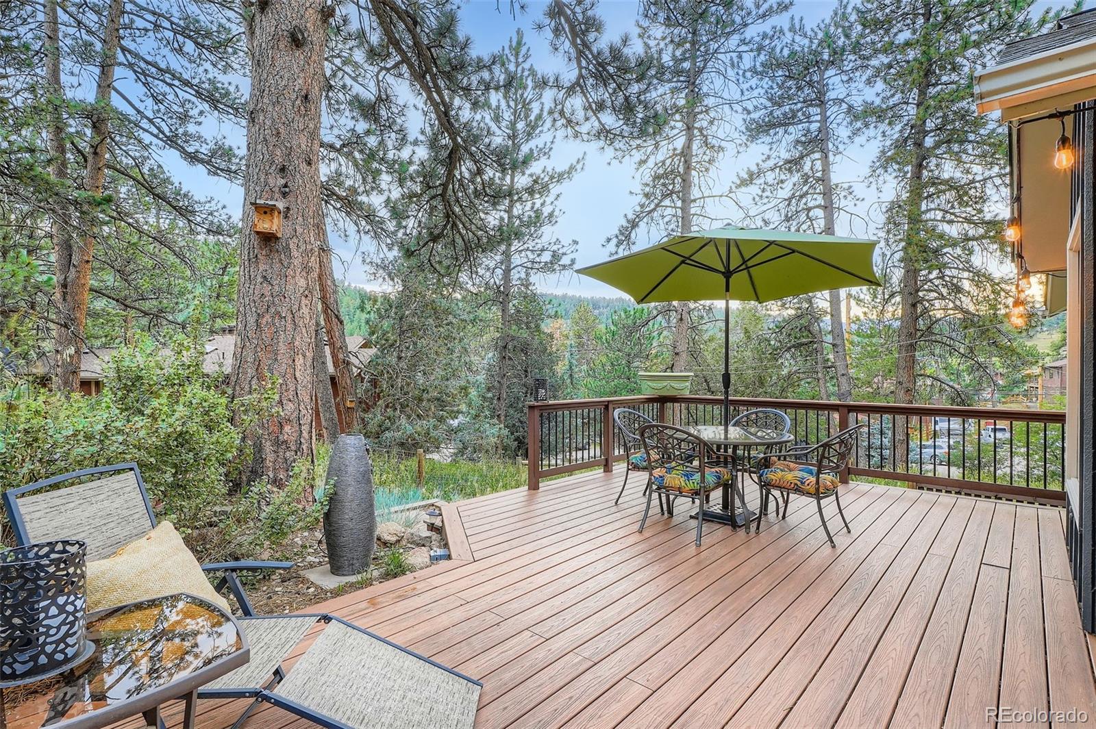 MLS Image #7 for 27579  fireweed drive,evergreen, Colorado