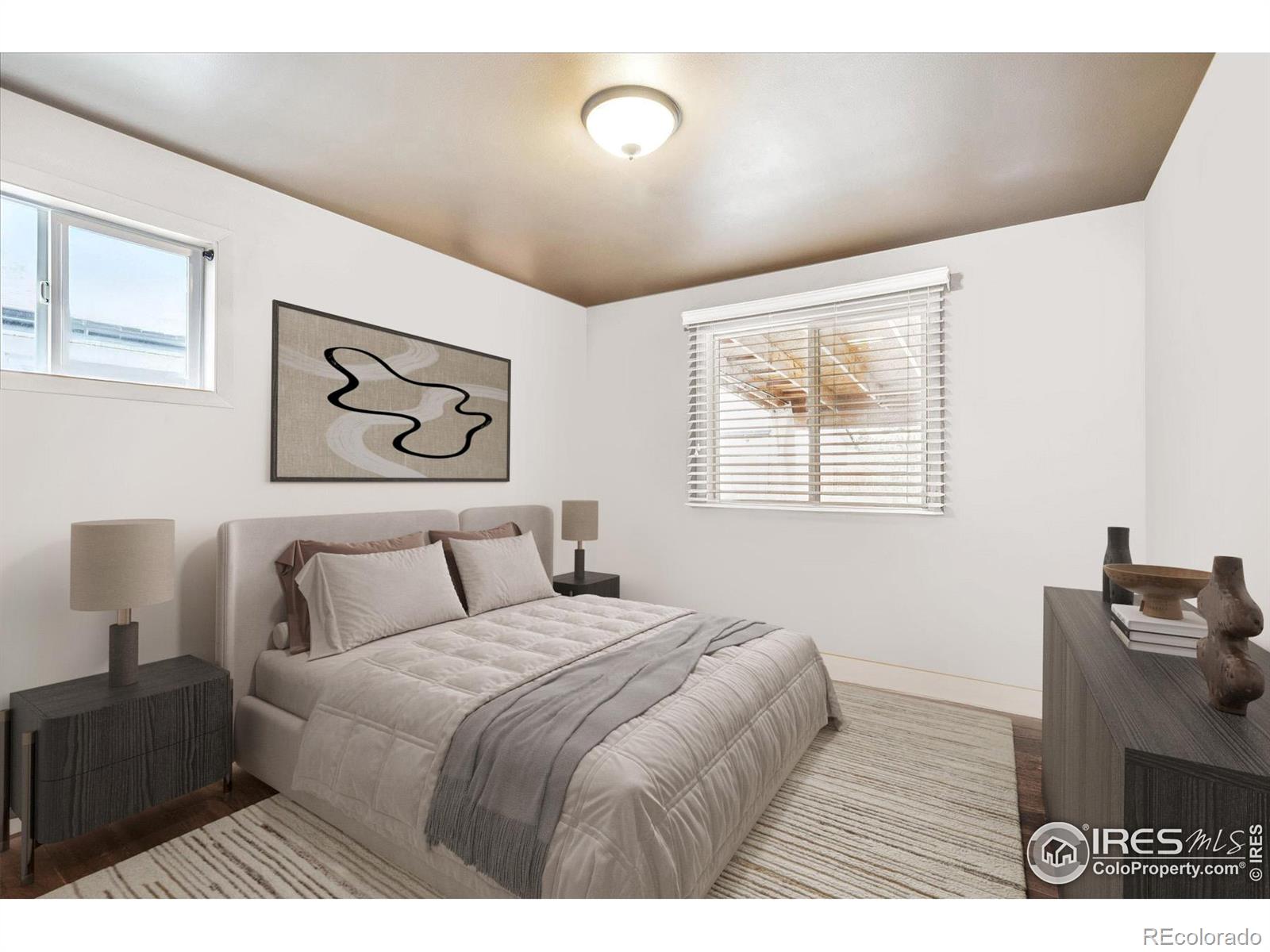 MLS Image #14 for 308 s locust street,denver, Colorado