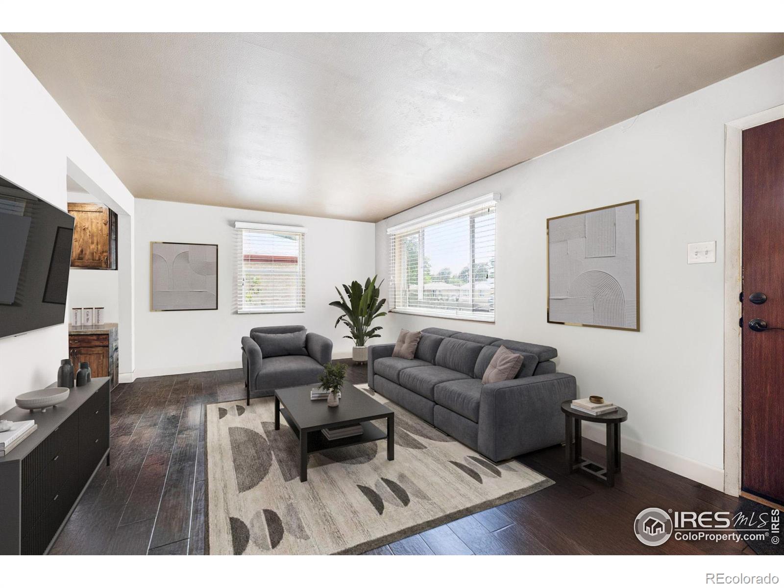 MLS Image #4 for 308 s locust street,denver, Colorado