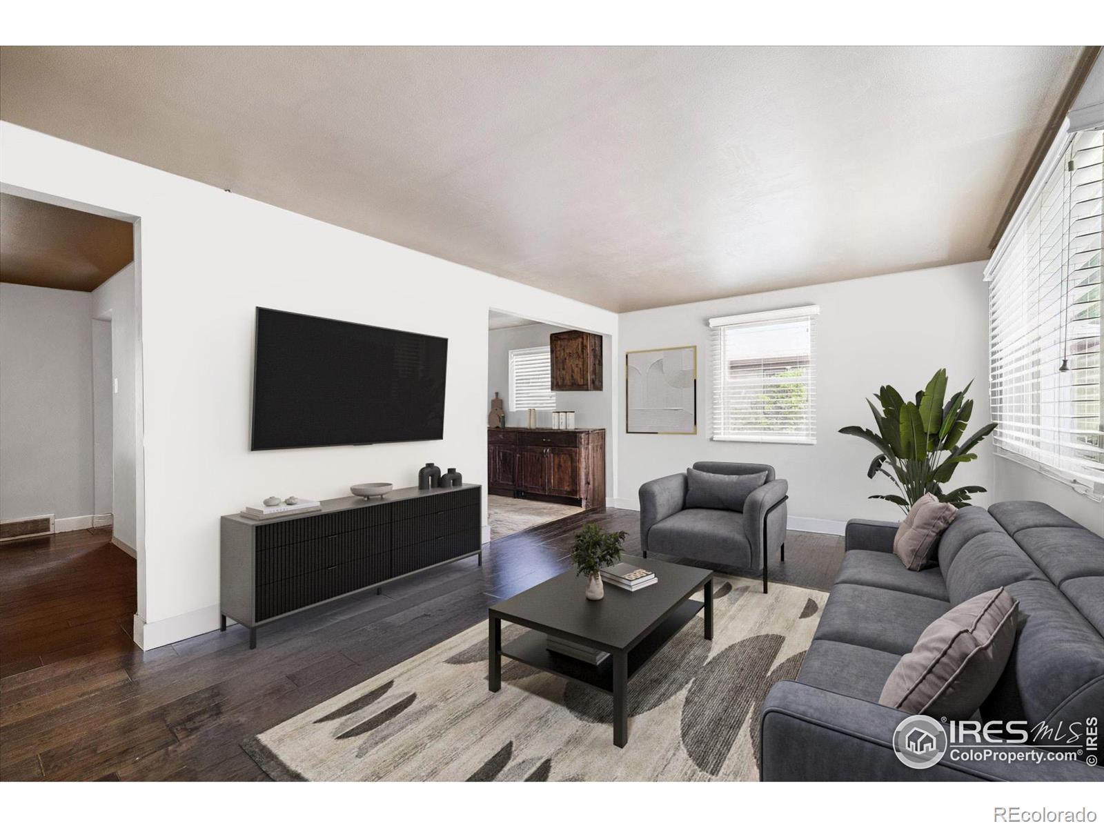 MLS Image #5 for 308 s locust street,denver, Colorado