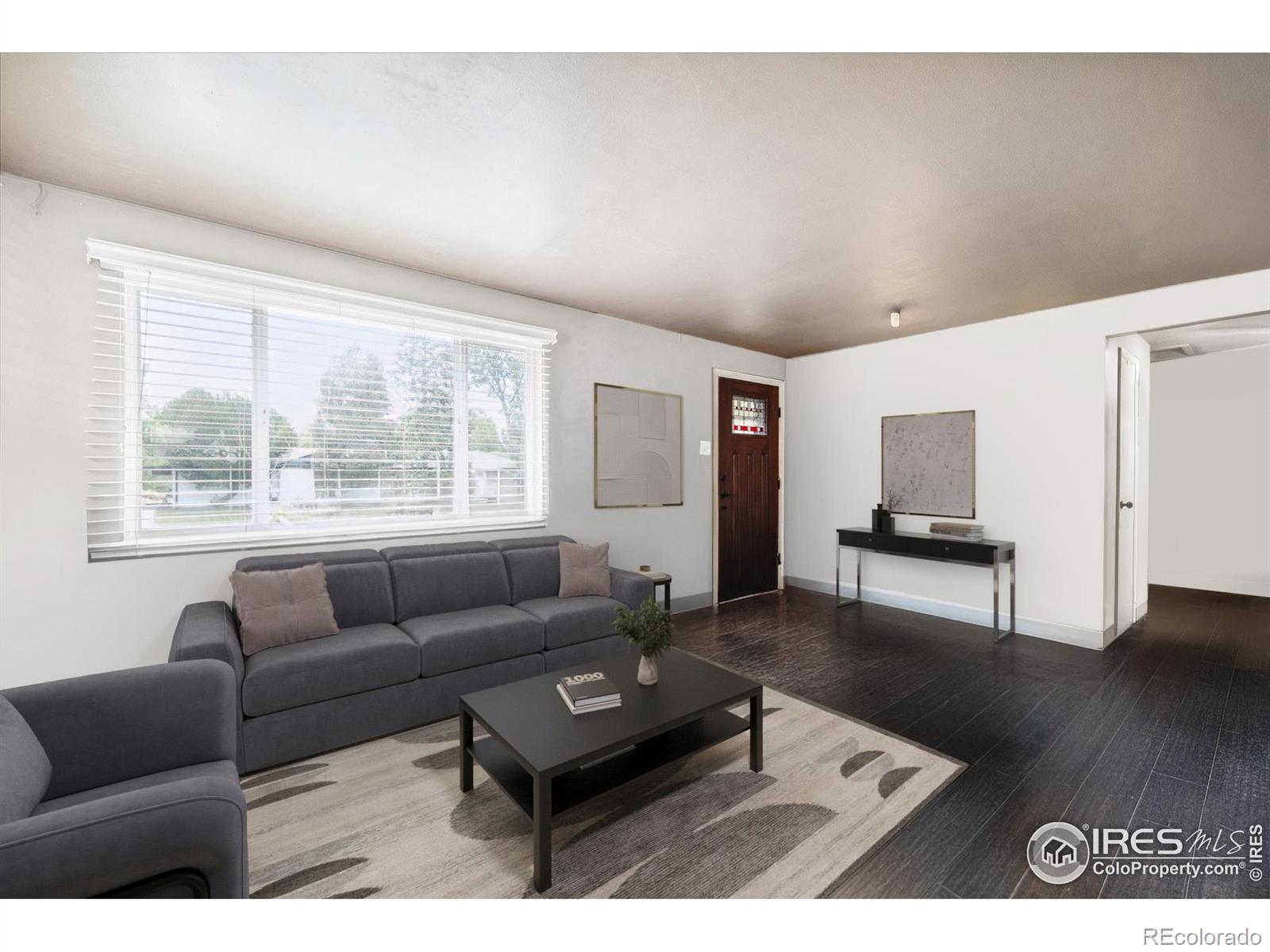 MLS Image #6 for 308 s locust street,denver, Colorado