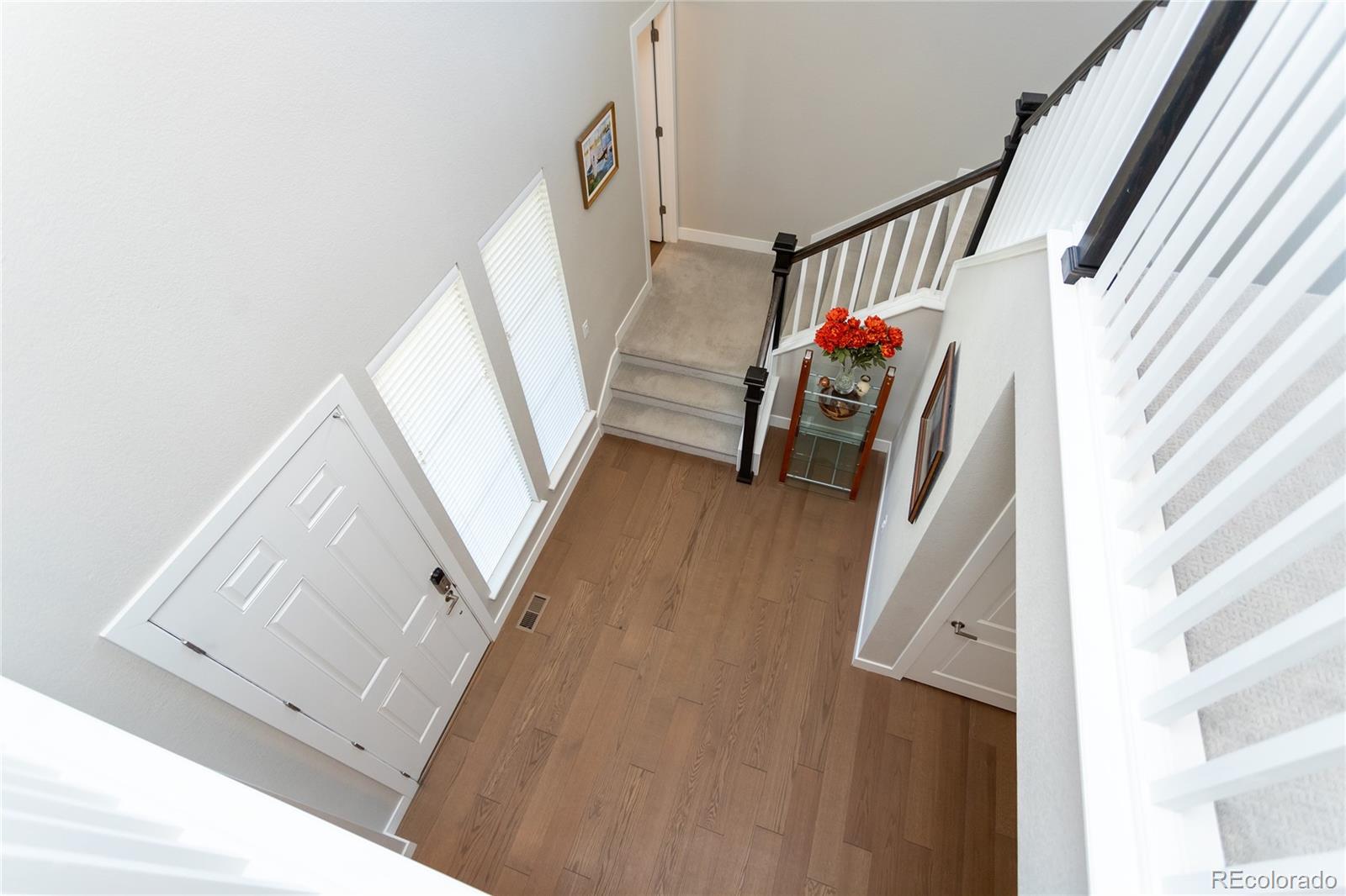 MLS Image #6 for 6656  kenzie circle,castle pines, Colorado