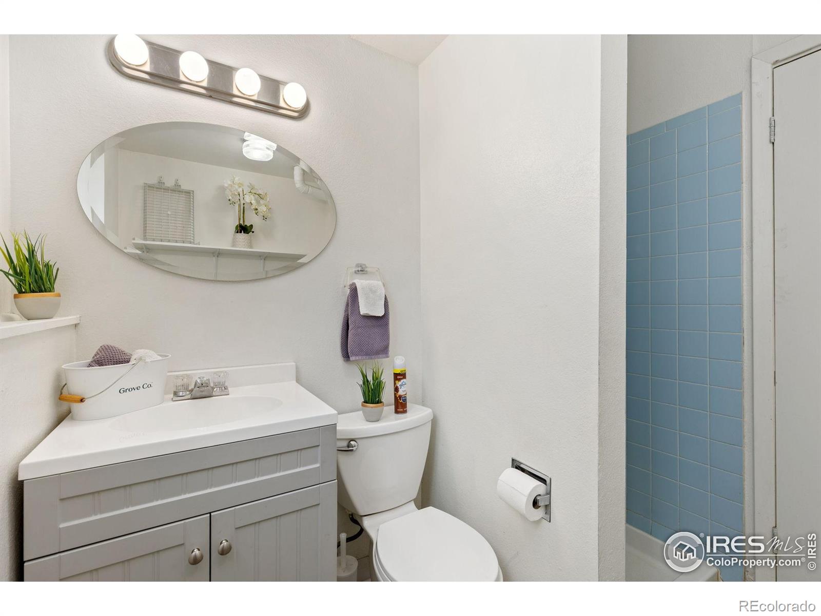 MLS Image #10 for 727  mount evans street,longmont, Colorado