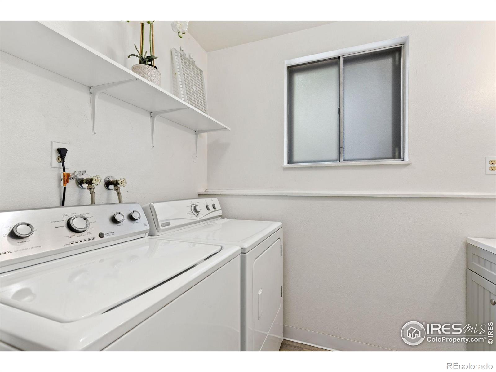 MLS Image #11 for 727  mount evans street,longmont, Colorado