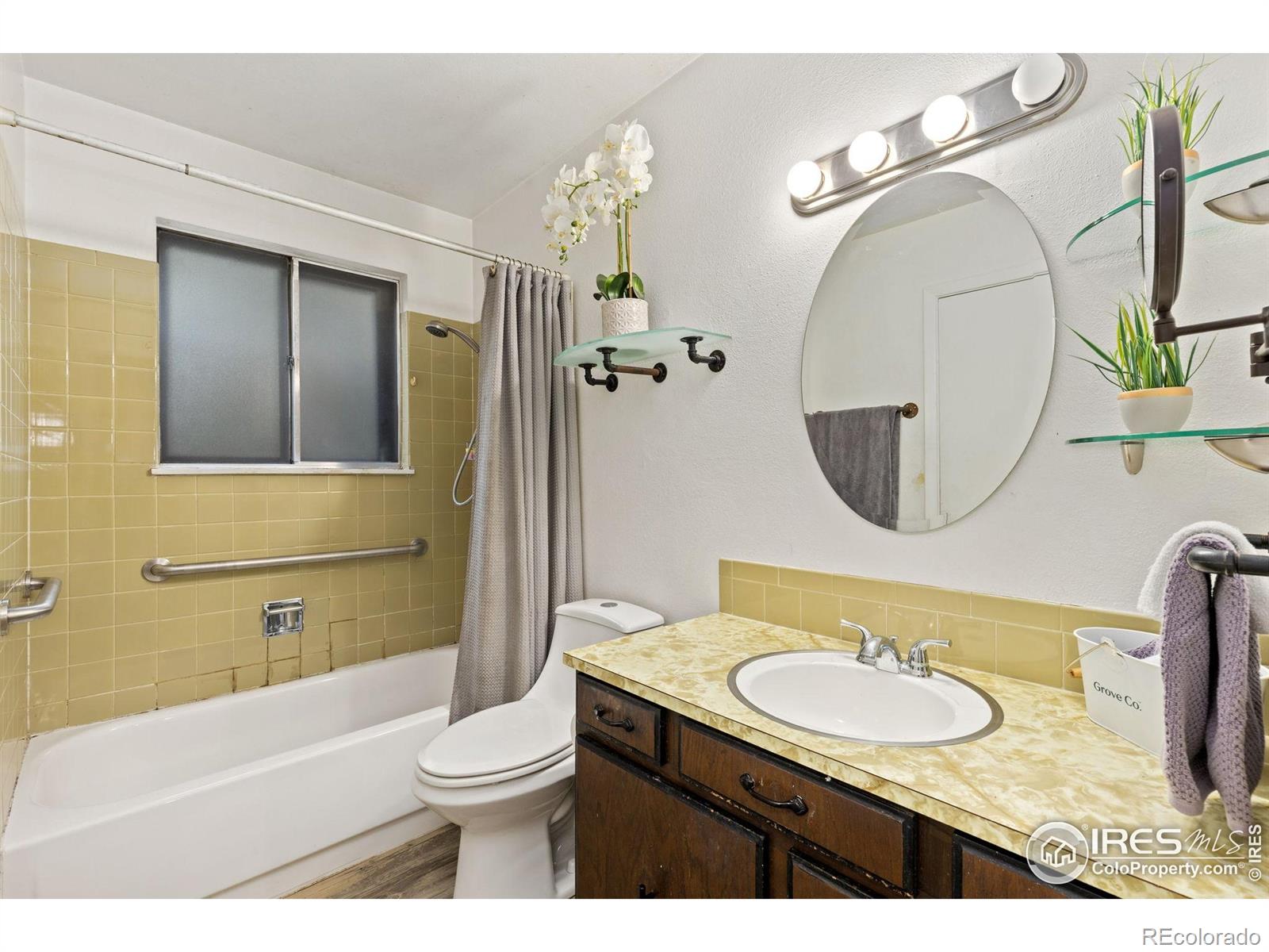 MLS Image #12 for 727  mount evans street,longmont, Colorado