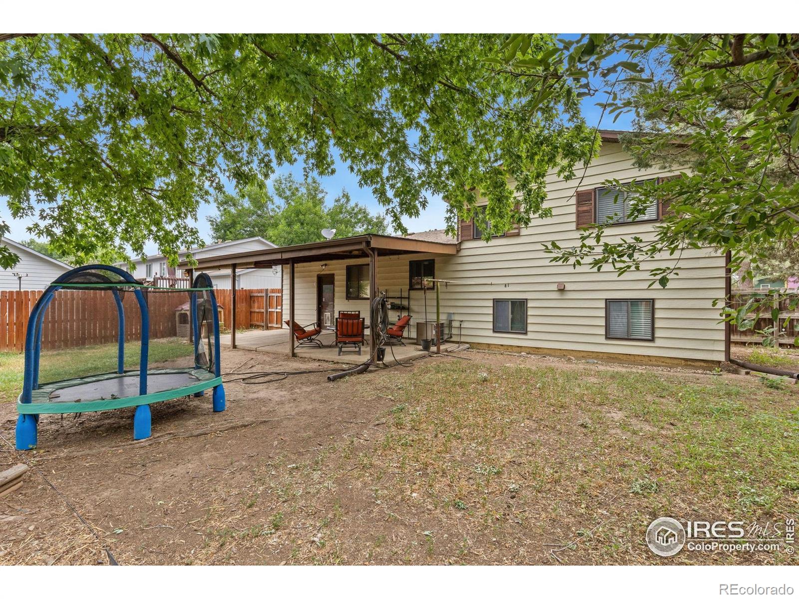 MLS Image #14 for 727  mount evans street,longmont, Colorado