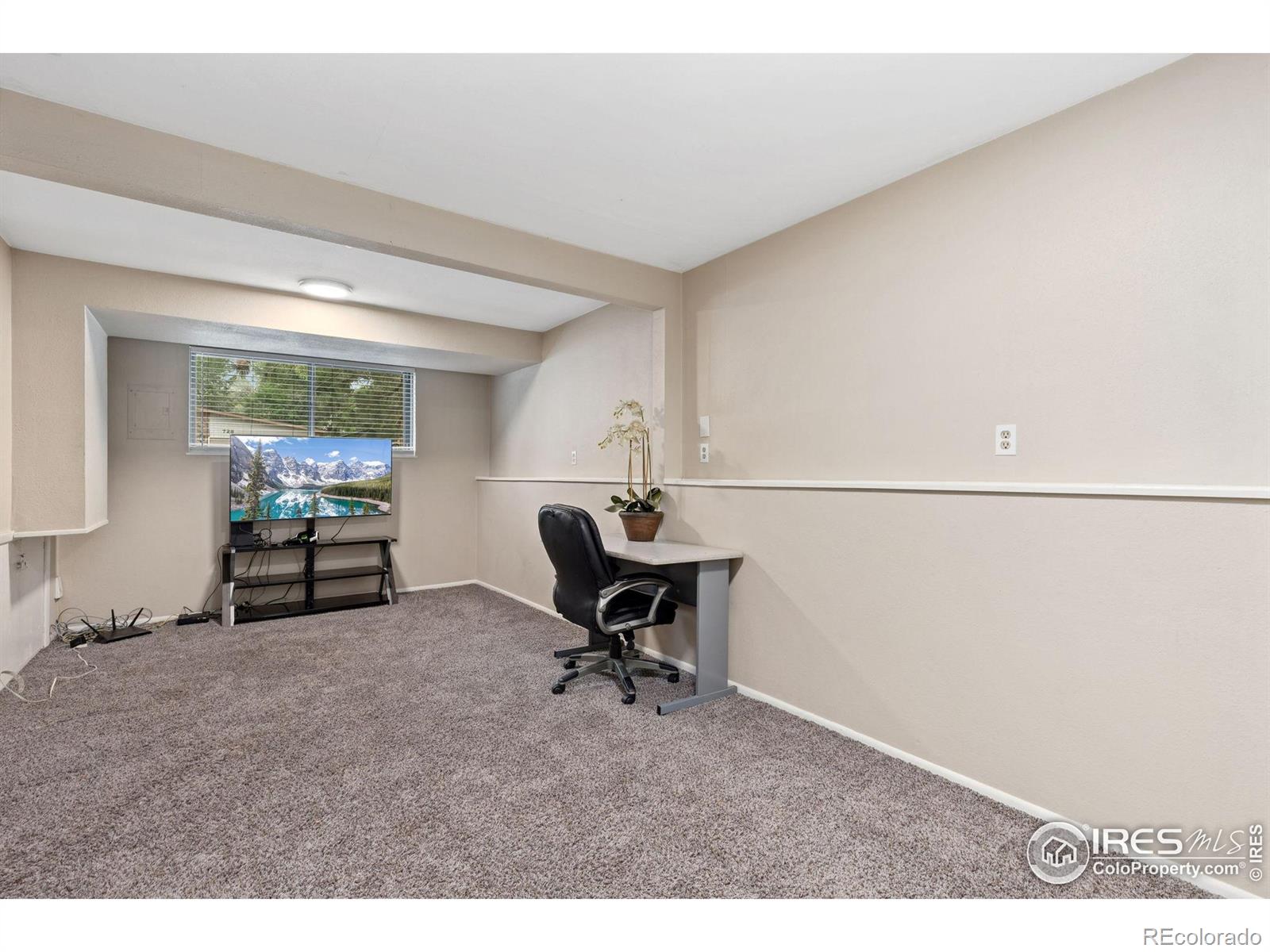 MLS Image #8 for 727  mount evans street,longmont, Colorado