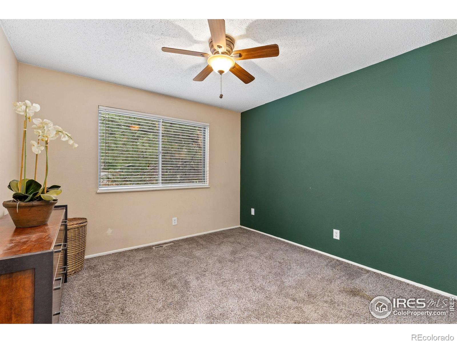 MLS Image #9 for 727  mount evans street,longmont, Colorado