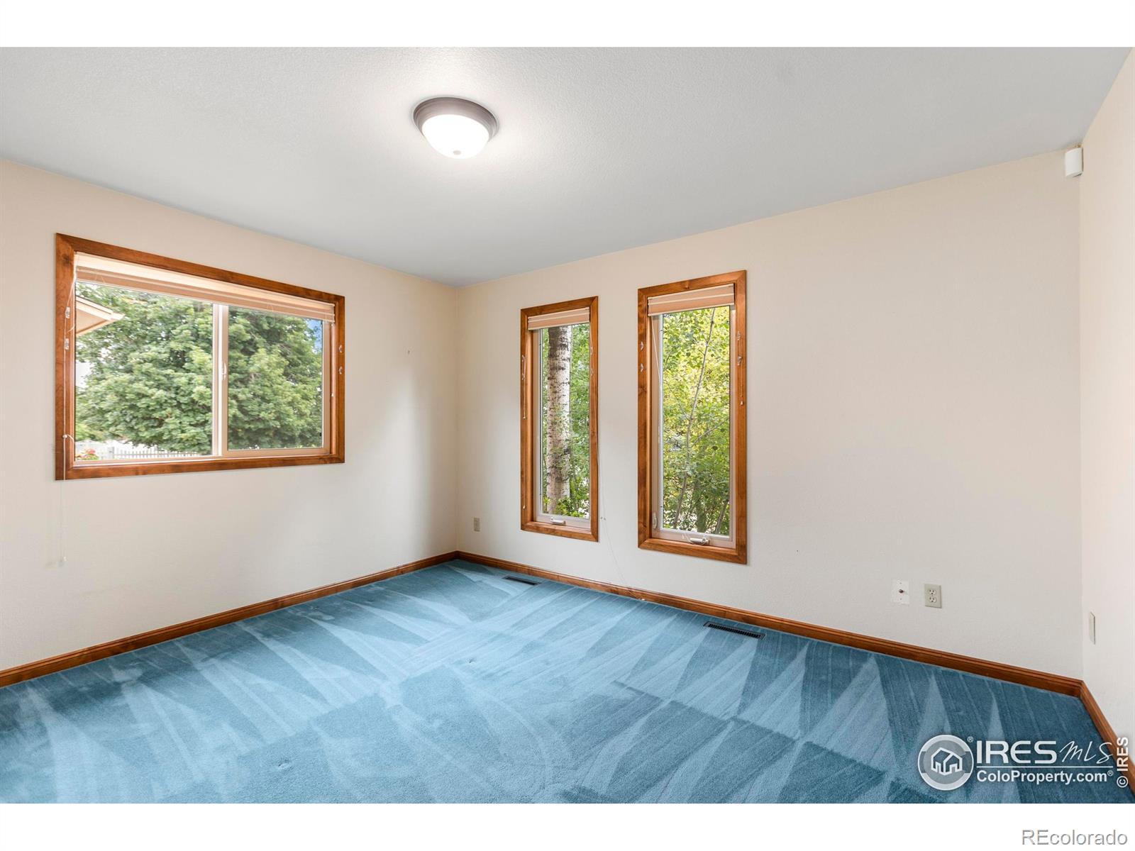 MLS Image #26 for 2305  turnberry road,fort collins, Colorado